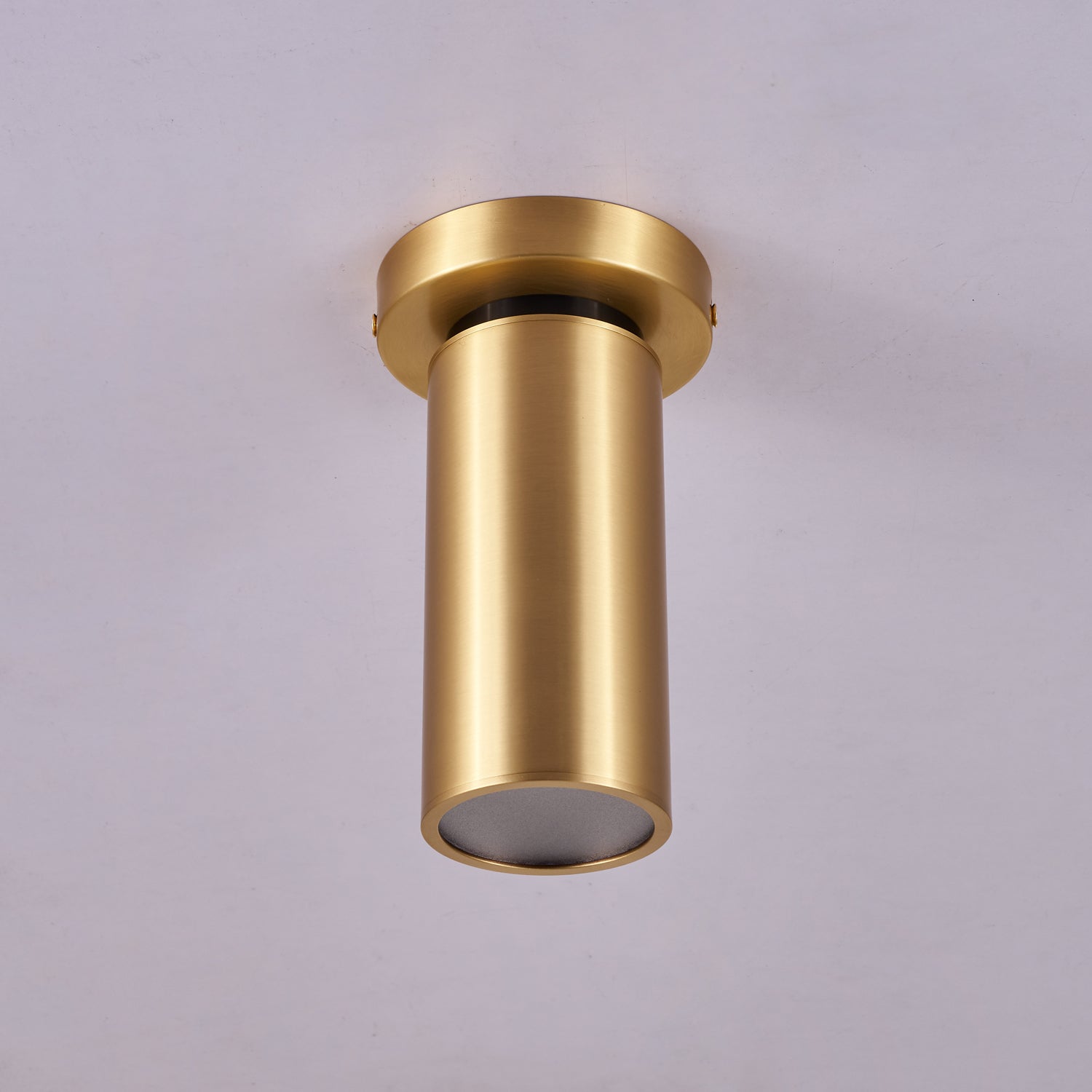 Syloran Modern Minimalist Brass Spot Light Ceiling lamp-Neutral Decor