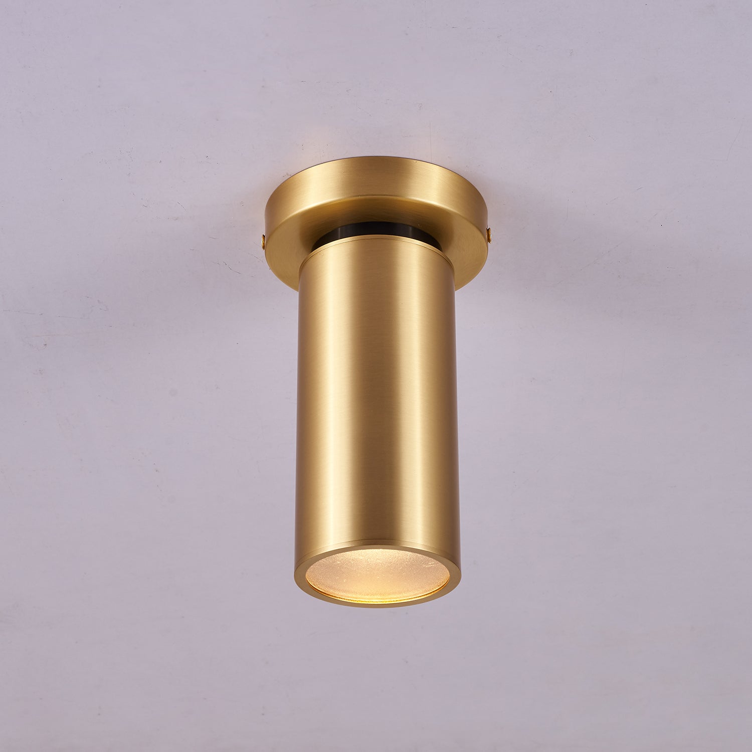 Syloran Modern Minimalist Brass Spot Light Ceiling lamp-Neutral Decor