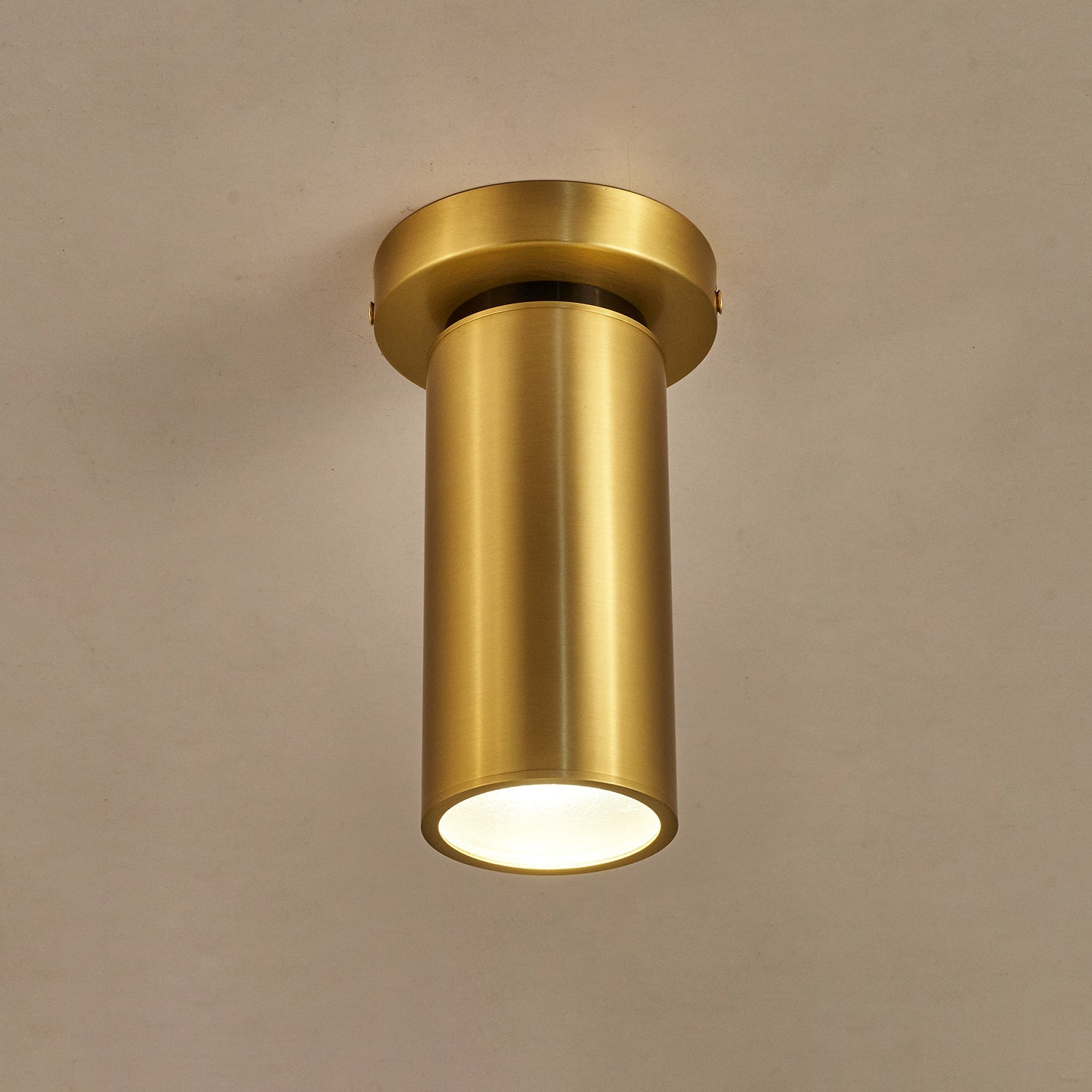 Syloran Modern Minimalist Brass Spot Light Ceiling lamp-Neutral Decor