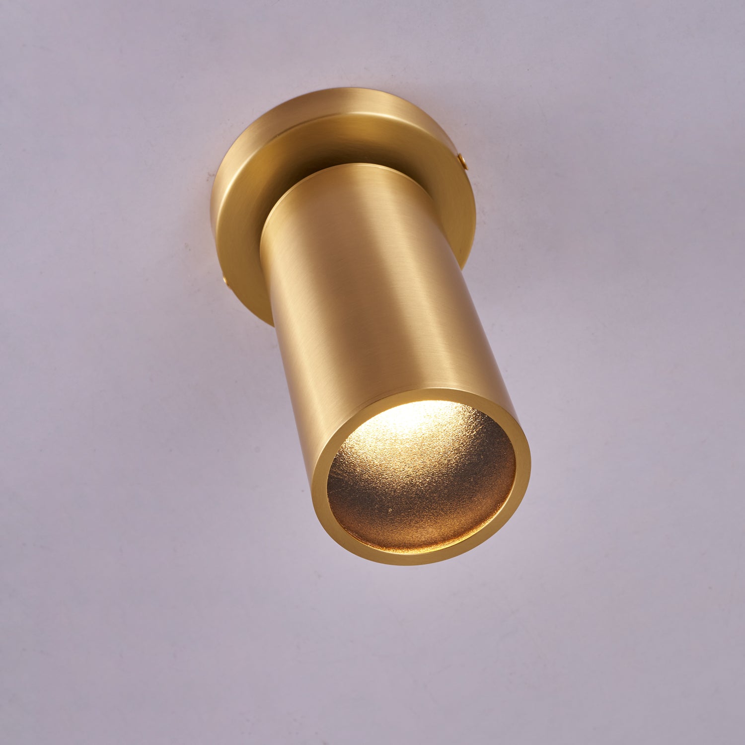 Syloran Modern Minimalist Brass Spot Light Ceiling lamp-Neutral Decor