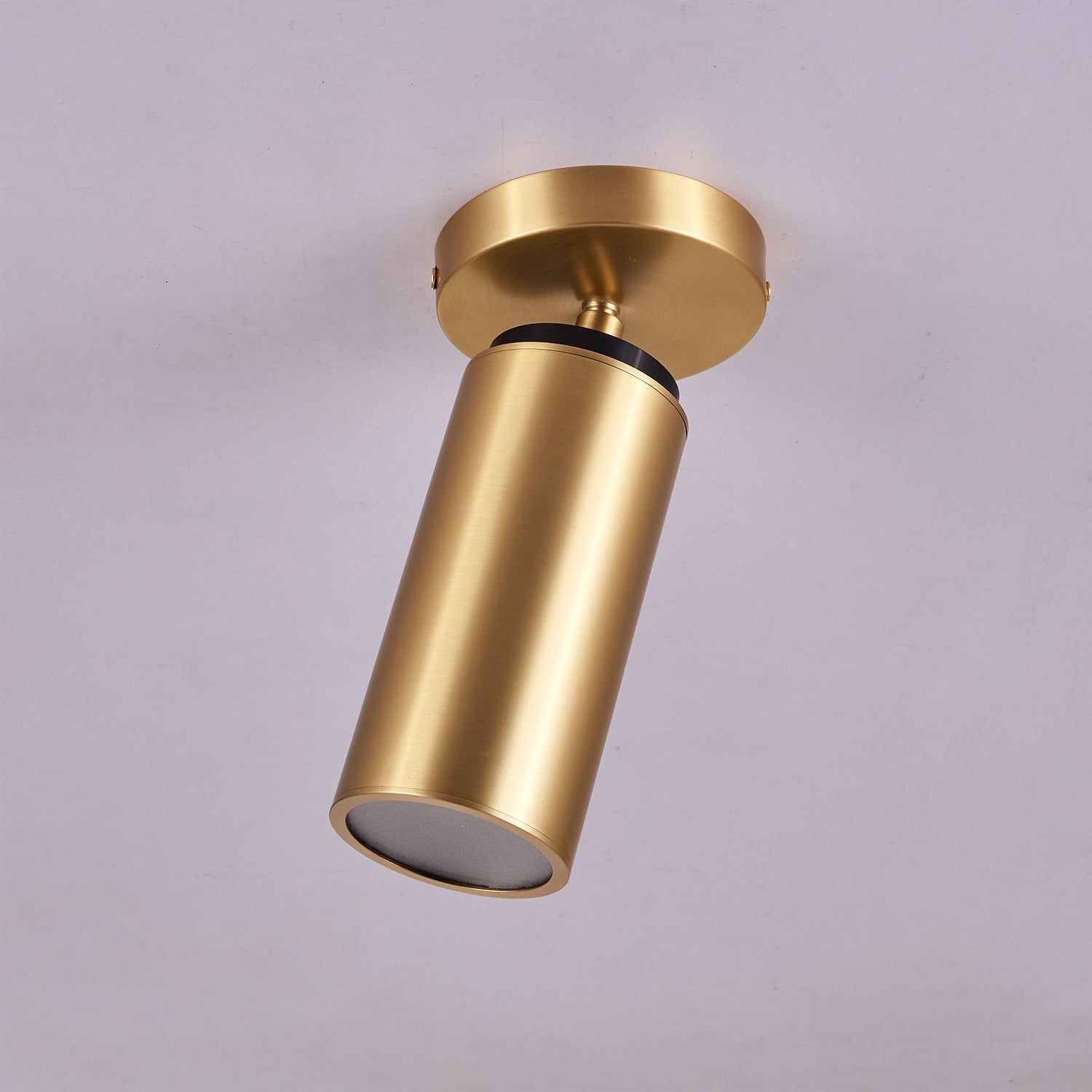Syloran Modern Minimalist Brass Spot Light Ceiling lamp-Neutral Decor