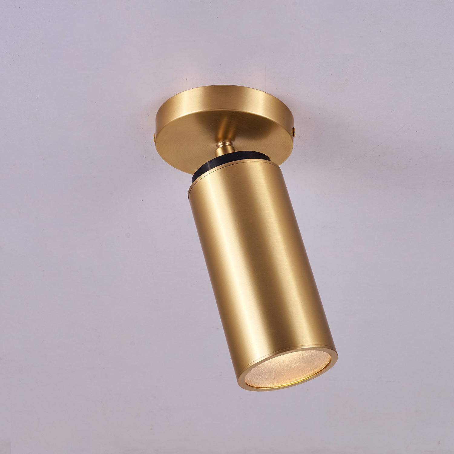 Syloran Modern Minimalist Brass Spot Light Ceiling lamp-Neutral Decor