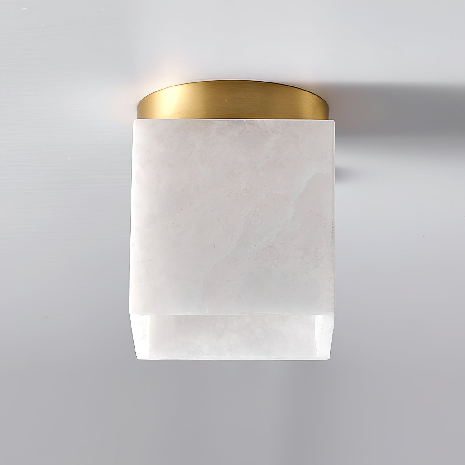Pristima Ceiling Light