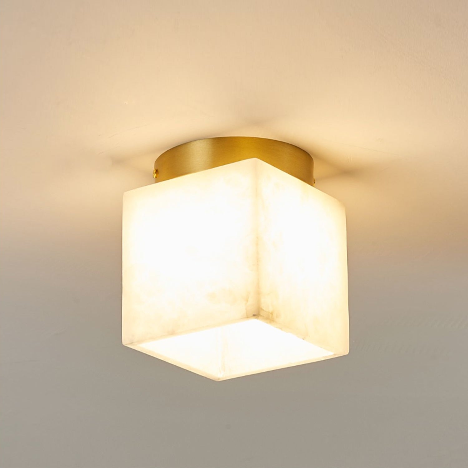 Pristima Ceiling Light
