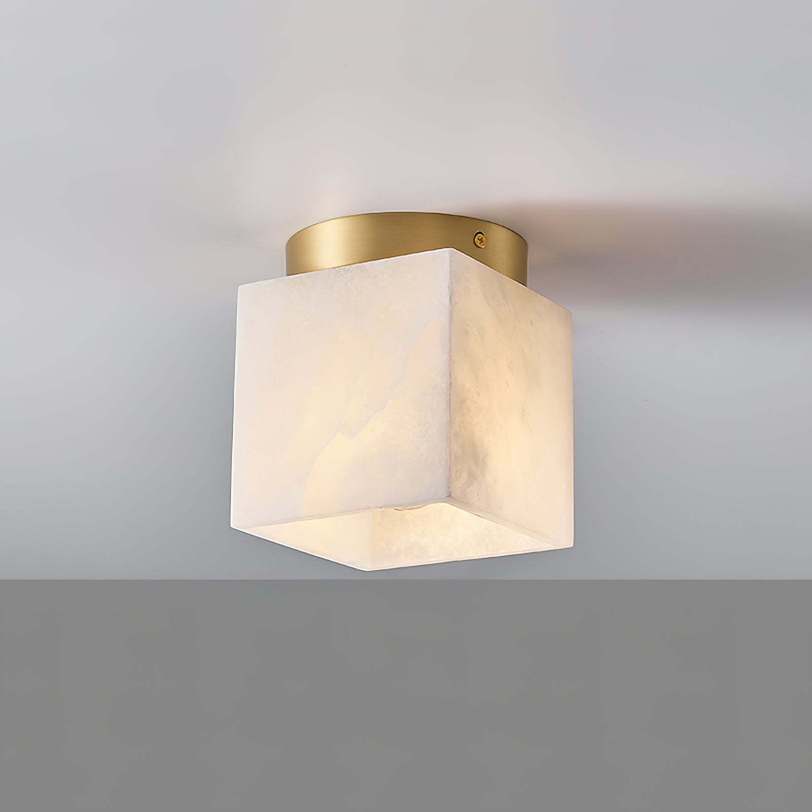 Pristima Ceiling Light