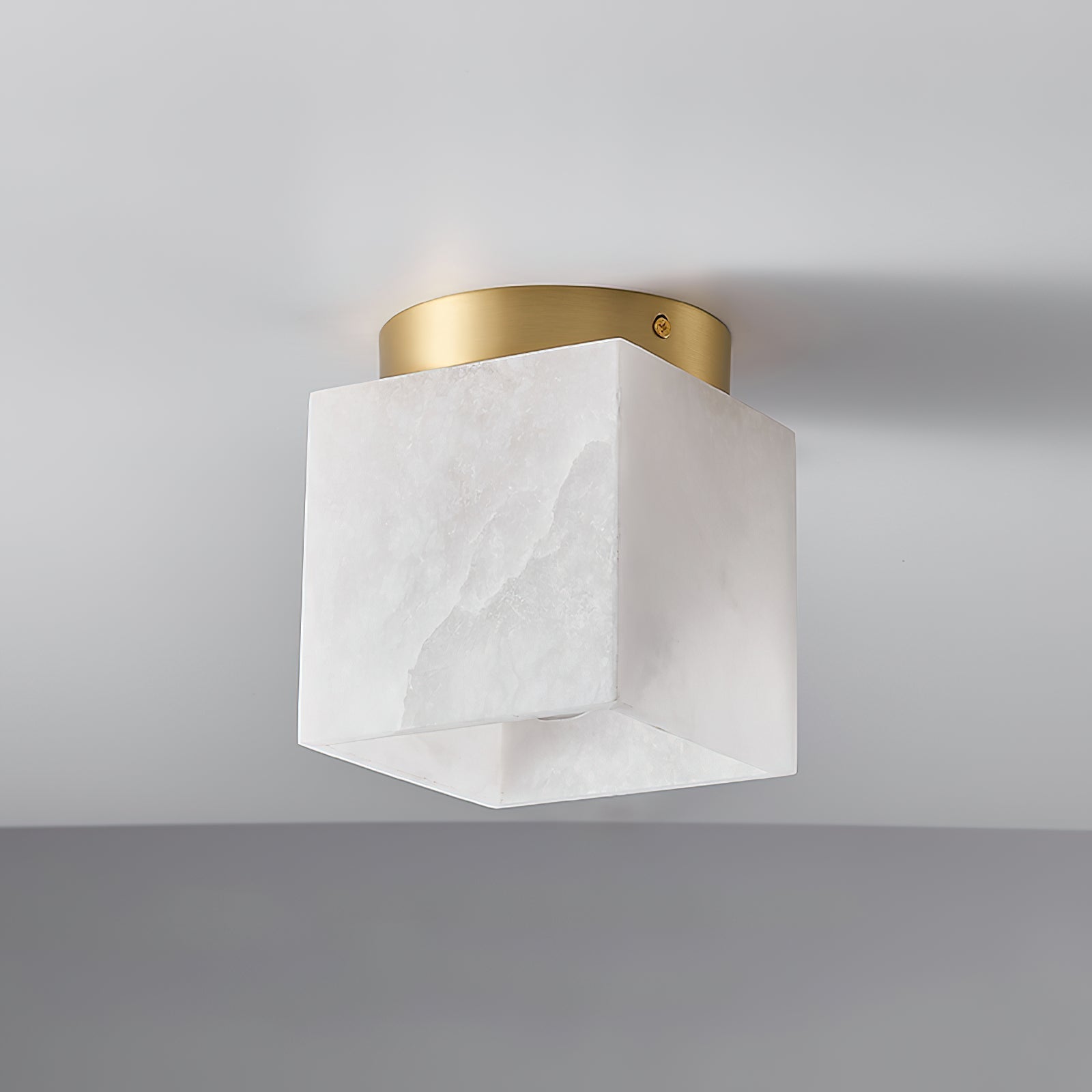 Pristima Ceiling Light