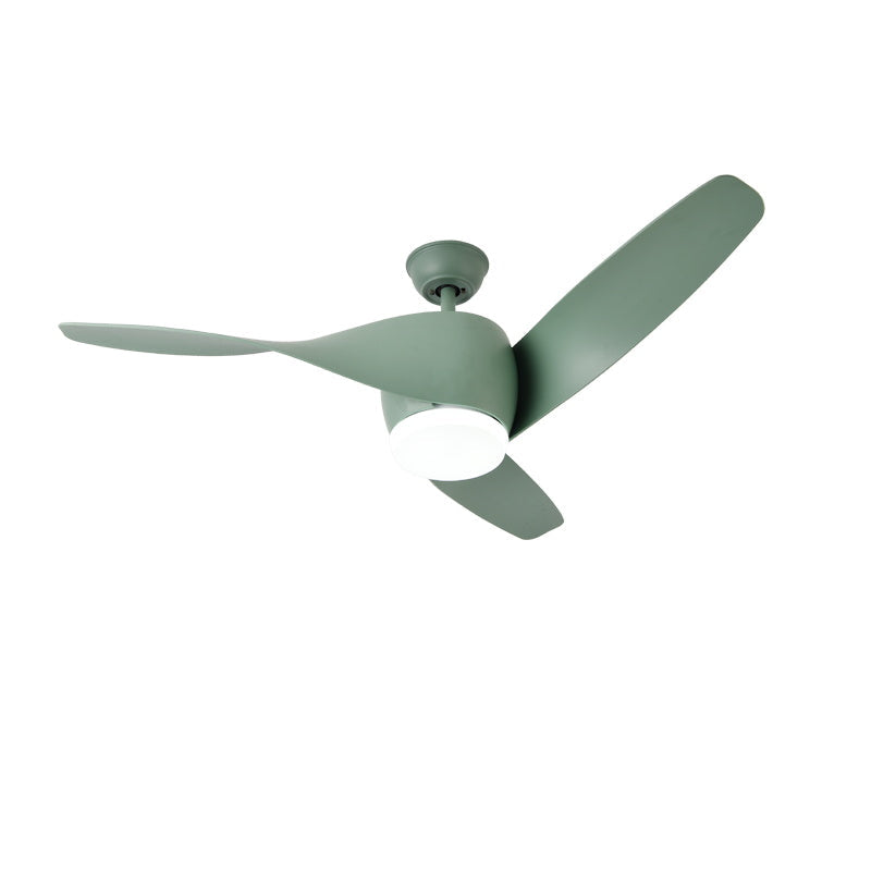 Comirisra Ceiling Fan Light