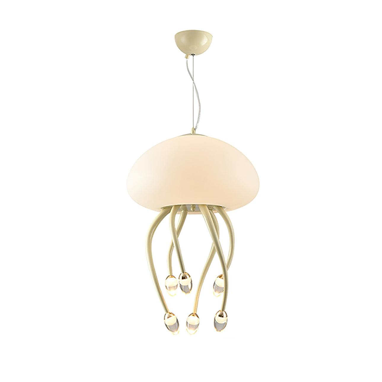 Cavira Acrylic Cozy Pendant Lamp-Neutral Decor