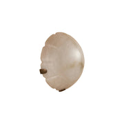 Jellyfish Alabaster Wall Lamp in a contemporary living room.
