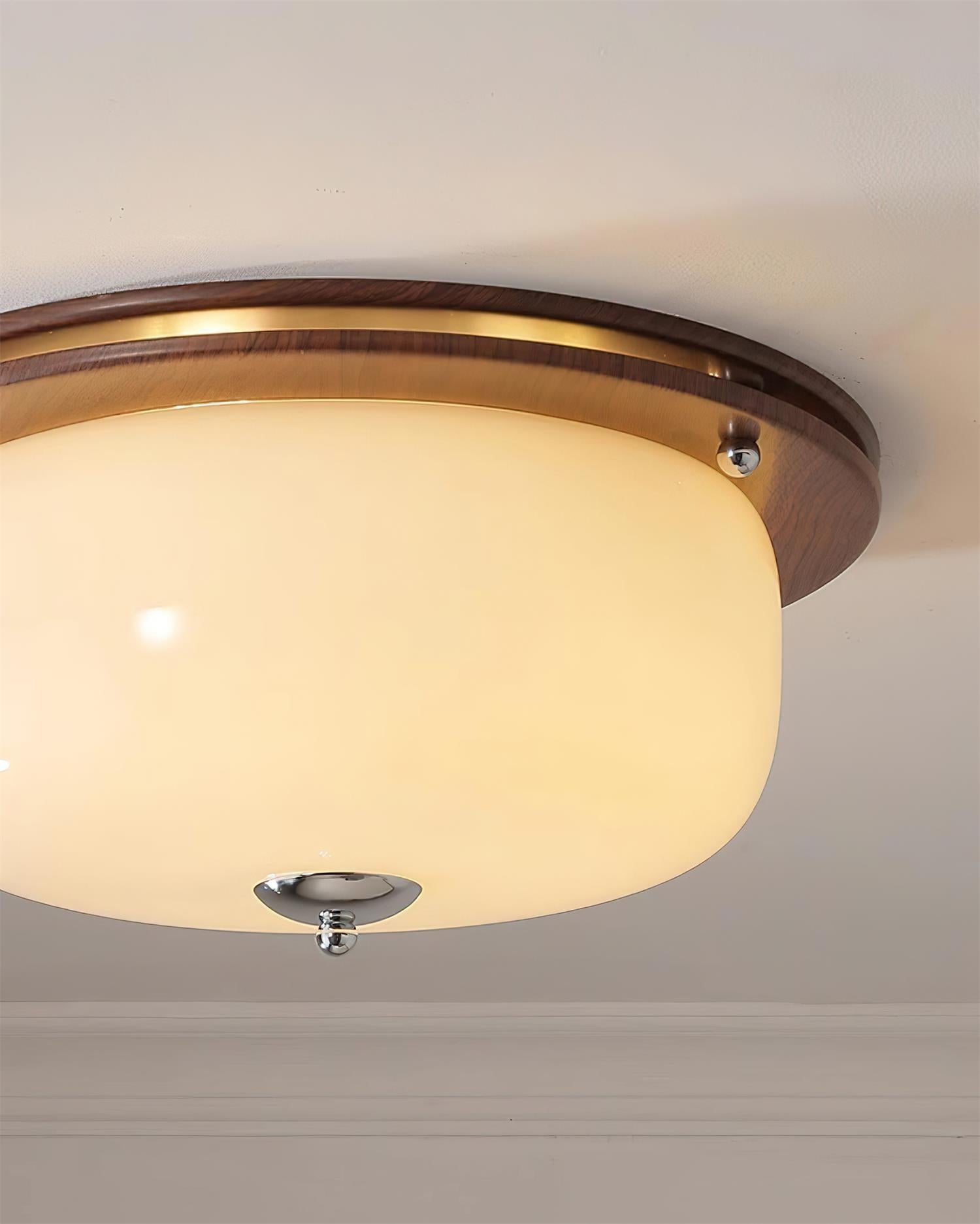Ceiling Light Glass Flush Mount Modern Minimalist Walnut Brown
