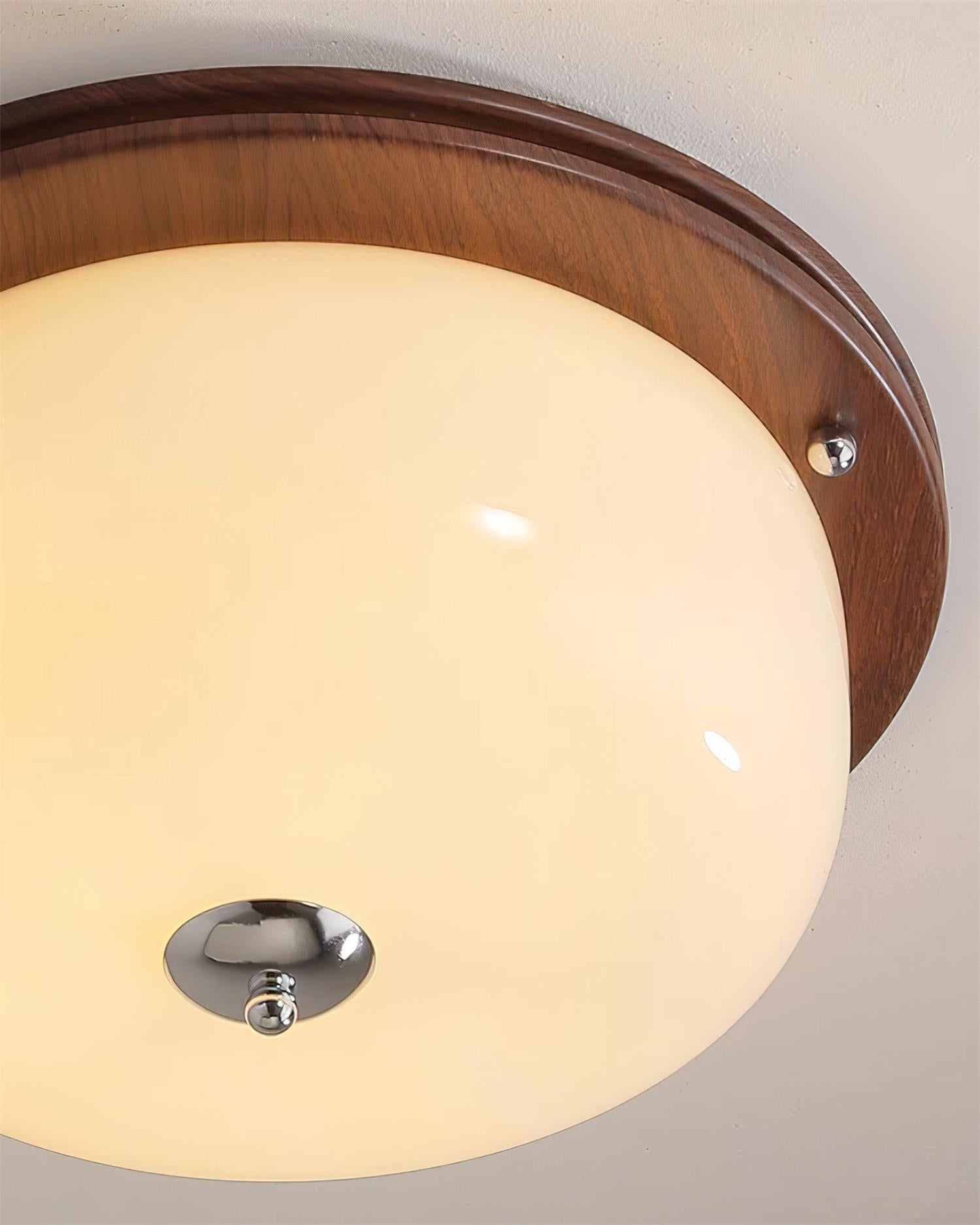 Ceiling Light Glass Flush Mount Modern Minimalist Walnut Brown