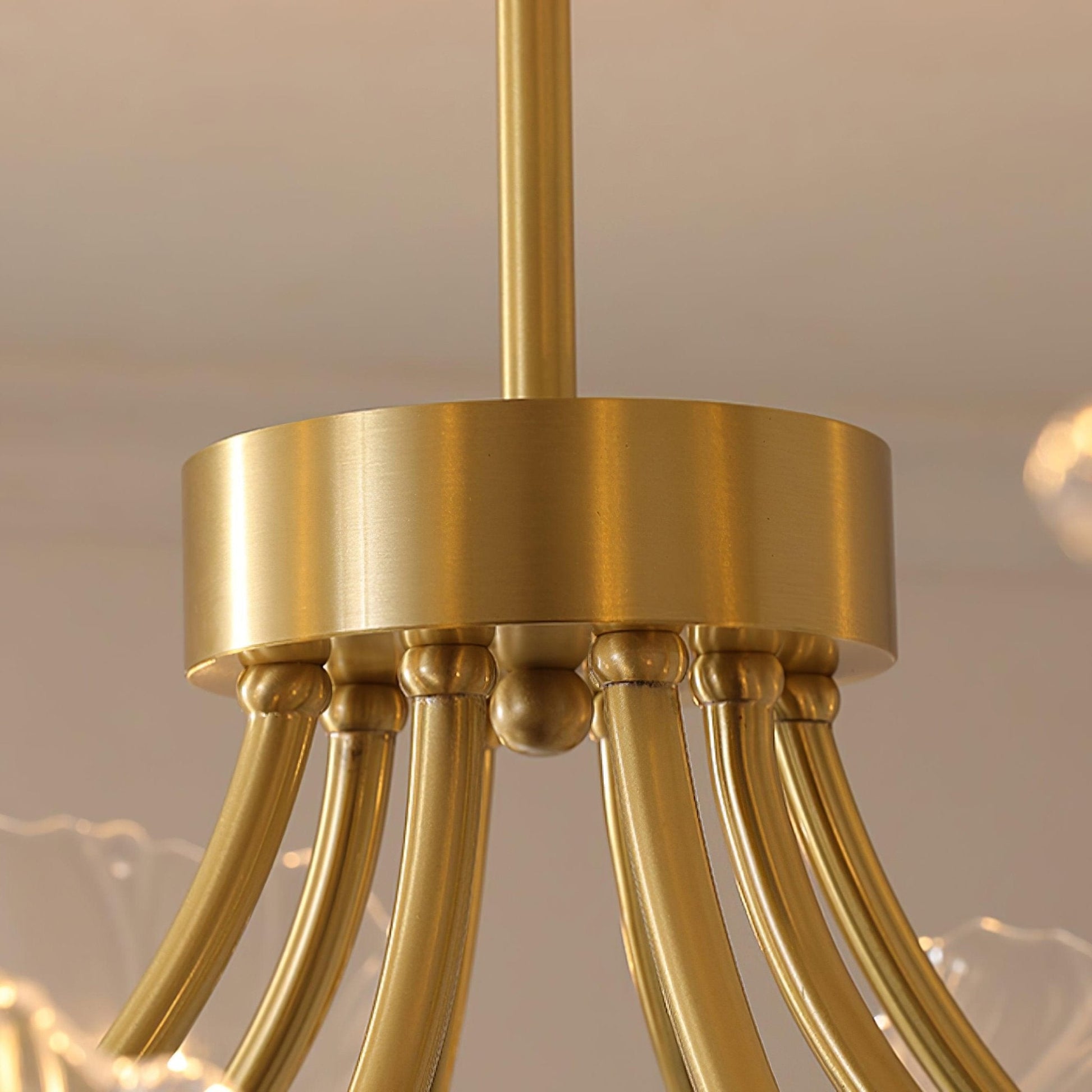Fife Chandelier Flower Glass with Brass Finish-Neutral Decor