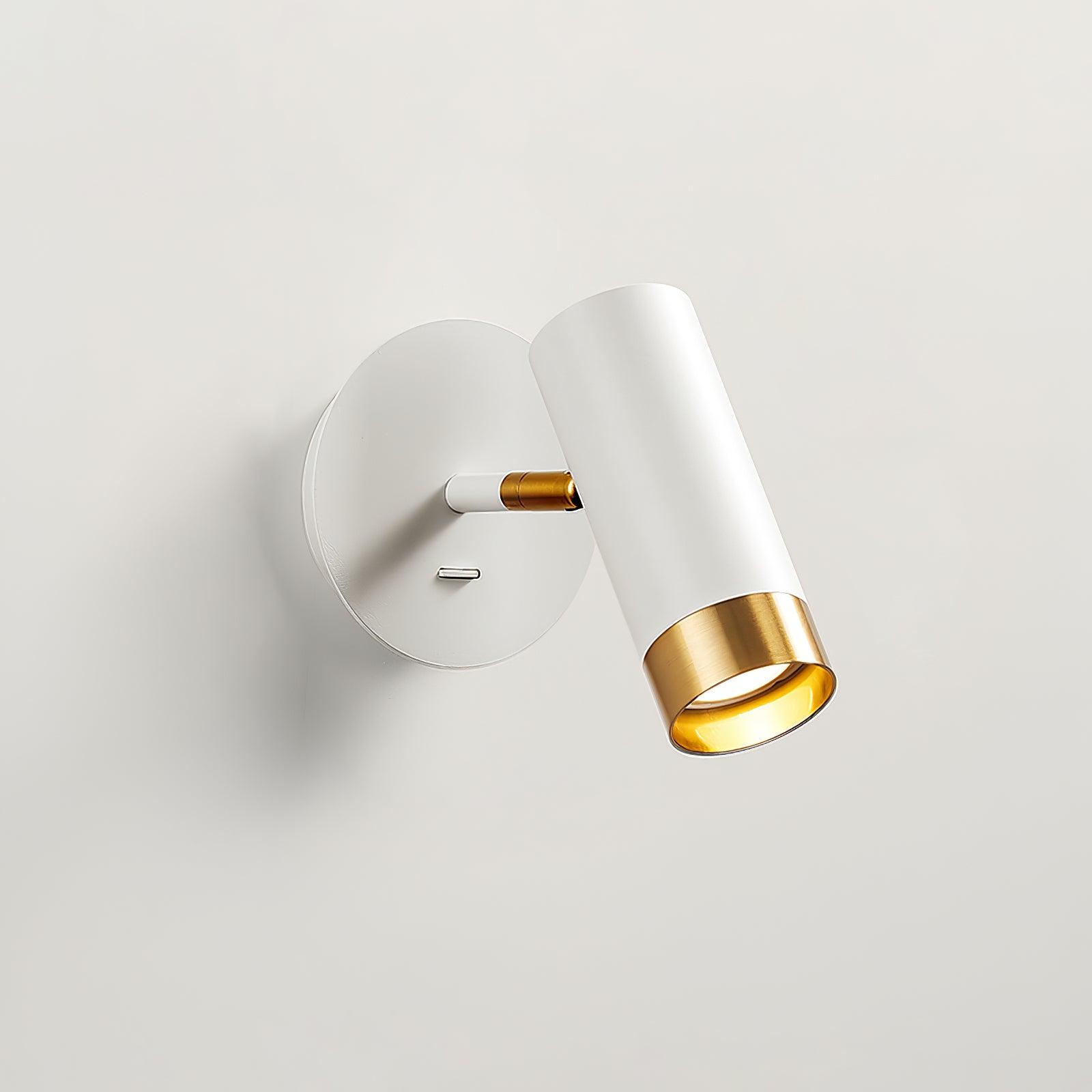 Cevare Modern Minimalist Wall Lamp-Neutral Decor