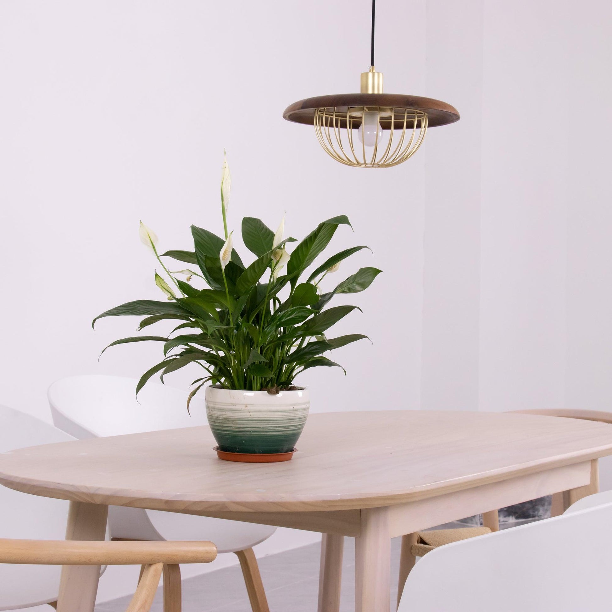 Fyrel Wood Retro Vintage Pendant Lamp-Neutral Decor