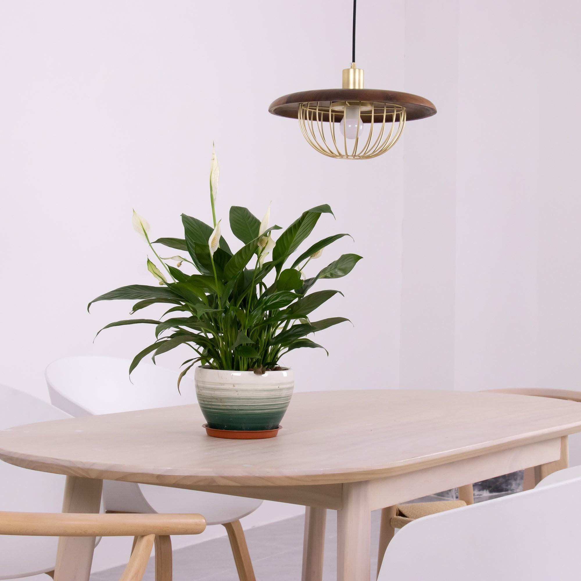 Fyrel Wood Retro Vintage Pendant Lamp-Neutral Decor