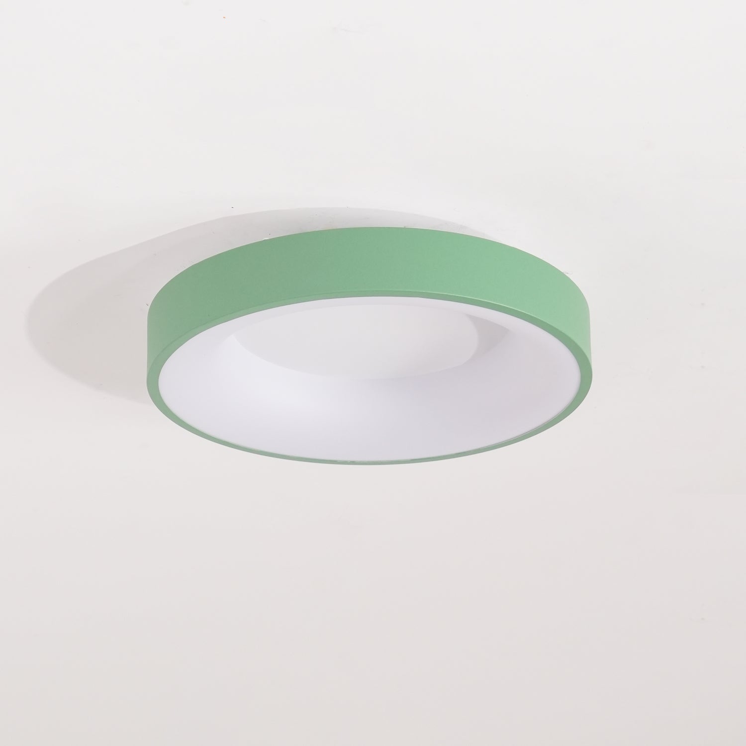 Jareth Ceiling Light Iron Contemporary Green Shade-Neutral Decor