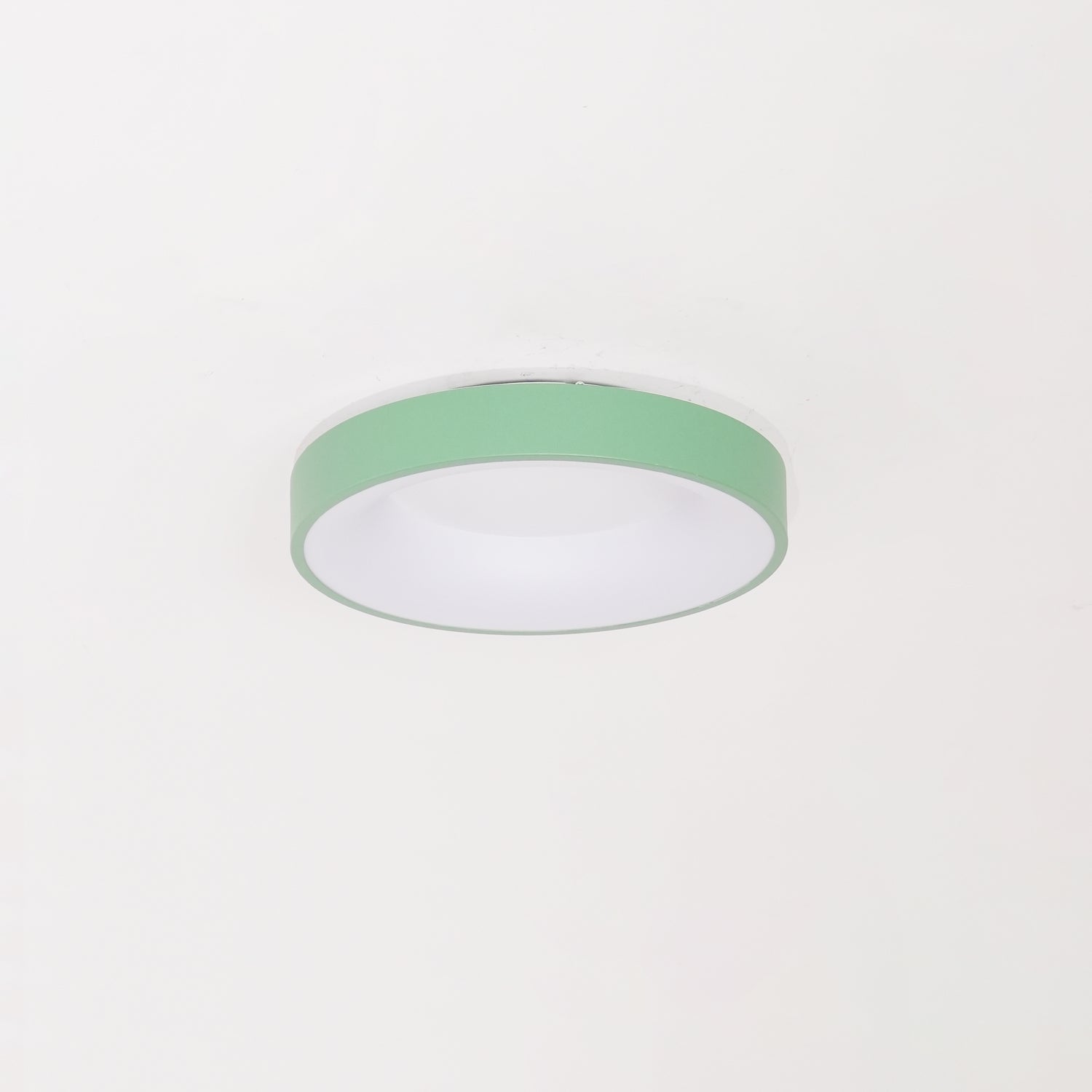Jareth Ceiling Light Iron Contemporary Green Shade-Neutral Decor