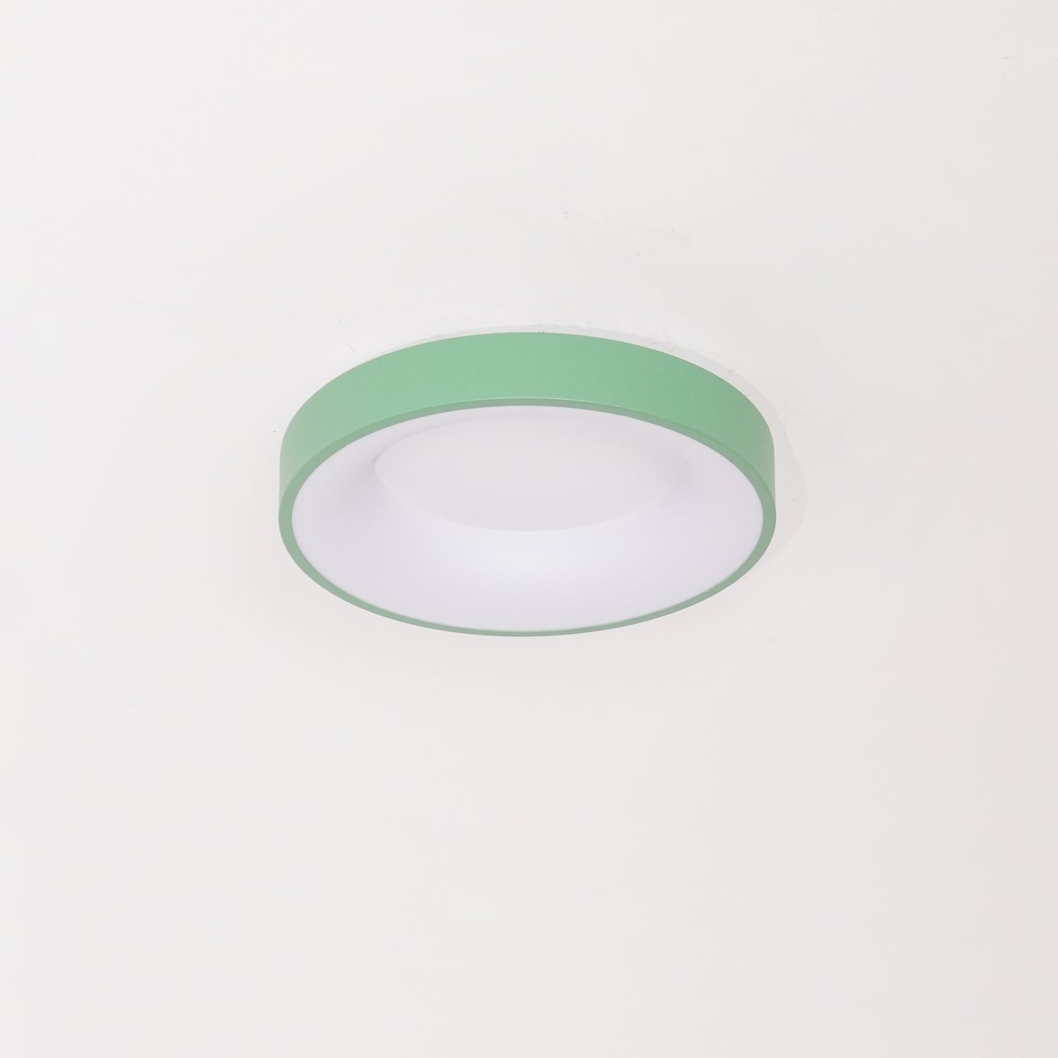 Jareth Ceiling Light Iron Contemporary Green Shade-Neutral Decor