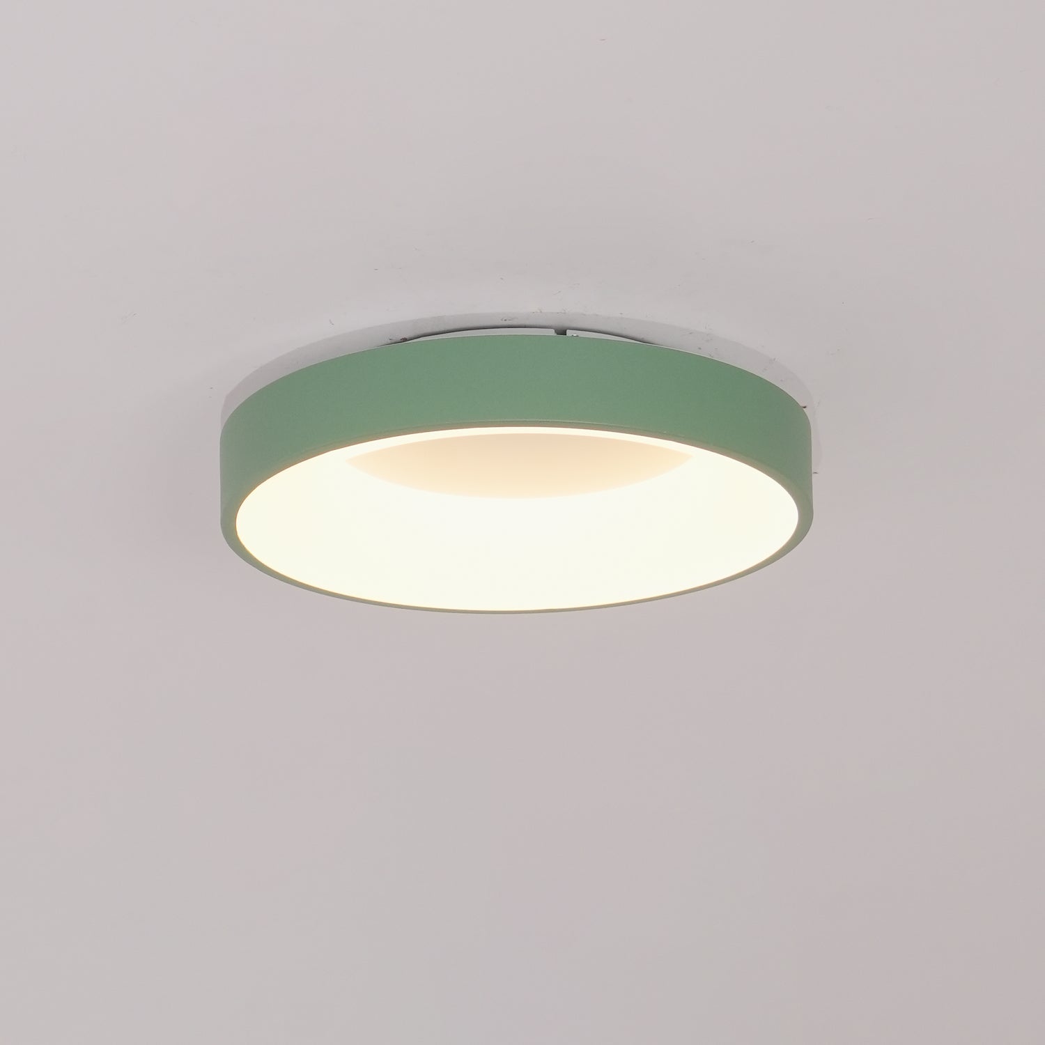Jareth Ceiling Light Iron Contemporary Green Shade-Neutral Decor
