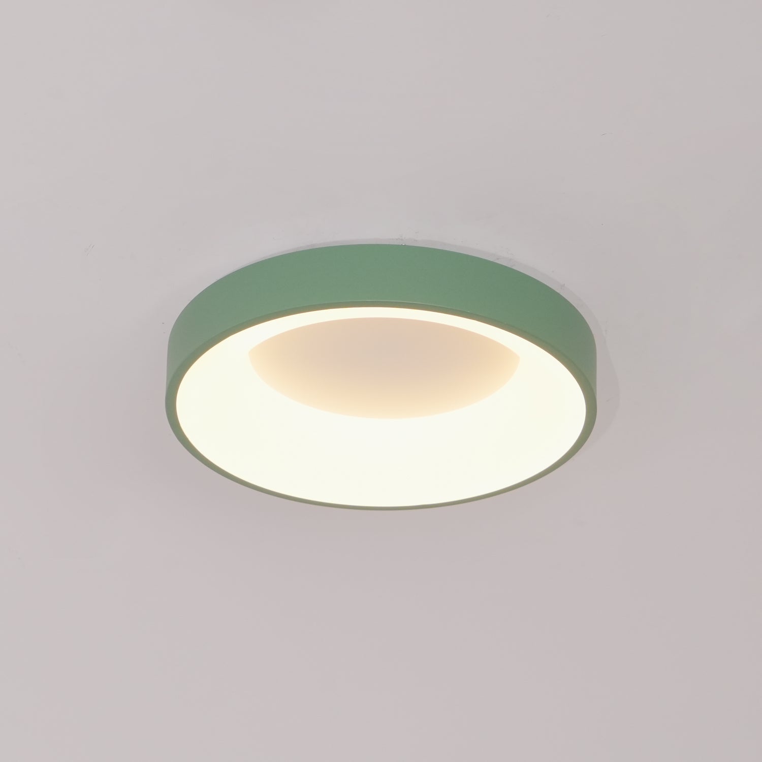 Jareth Ceiling Light Iron Contemporary Green Shade-Neutral Decor