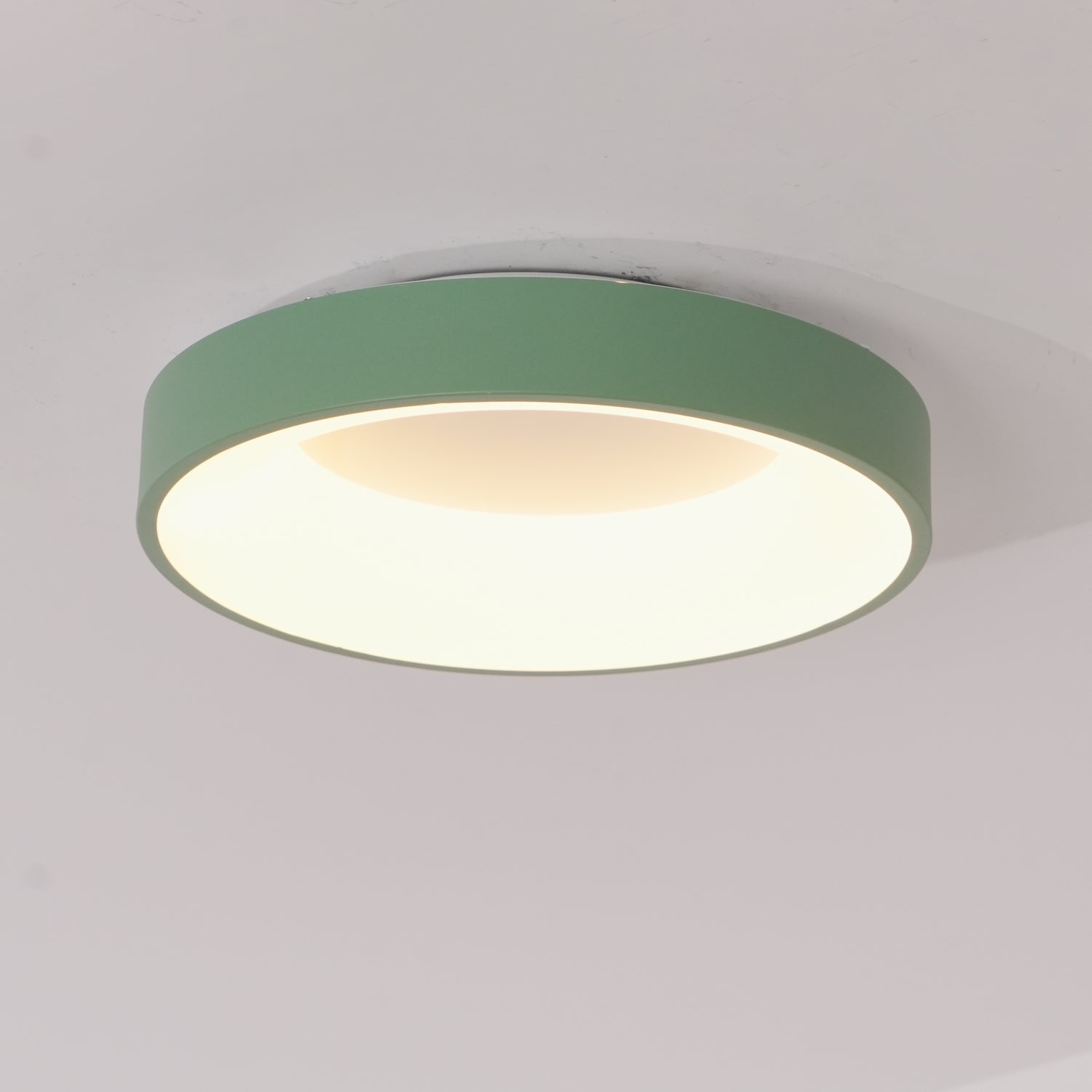 Jareth Ceiling Light Iron Contemporary Green Shade-Neutral Decor