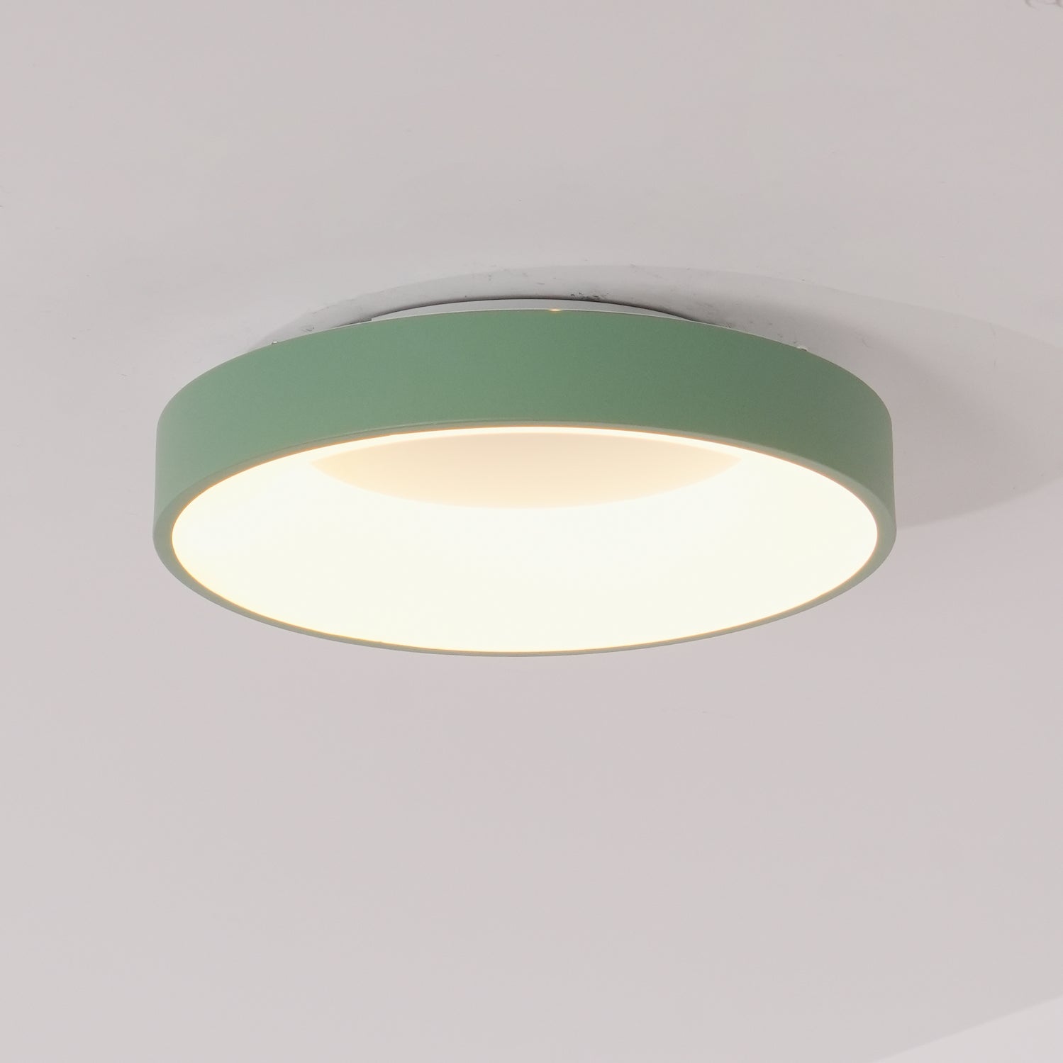 Jareth Ceiling Light Iron Contemporary Green Shade-Neutral Decor