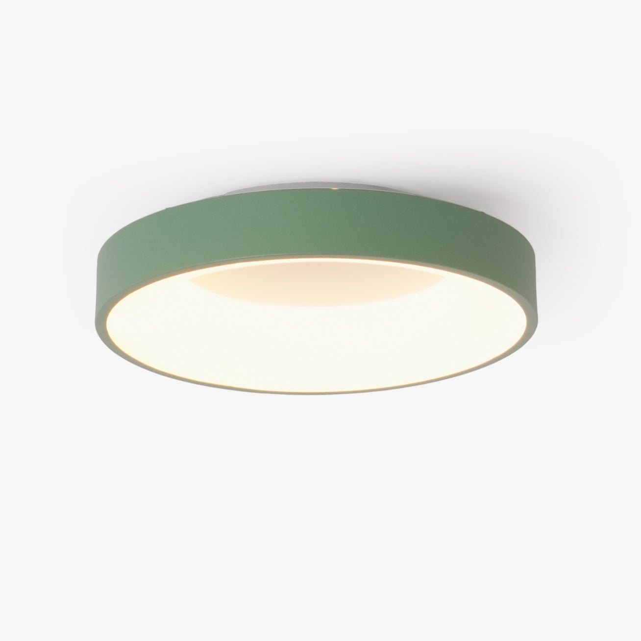 Jareth Ceiling Light Iron Contemporary Green Shade-Neutral Decor