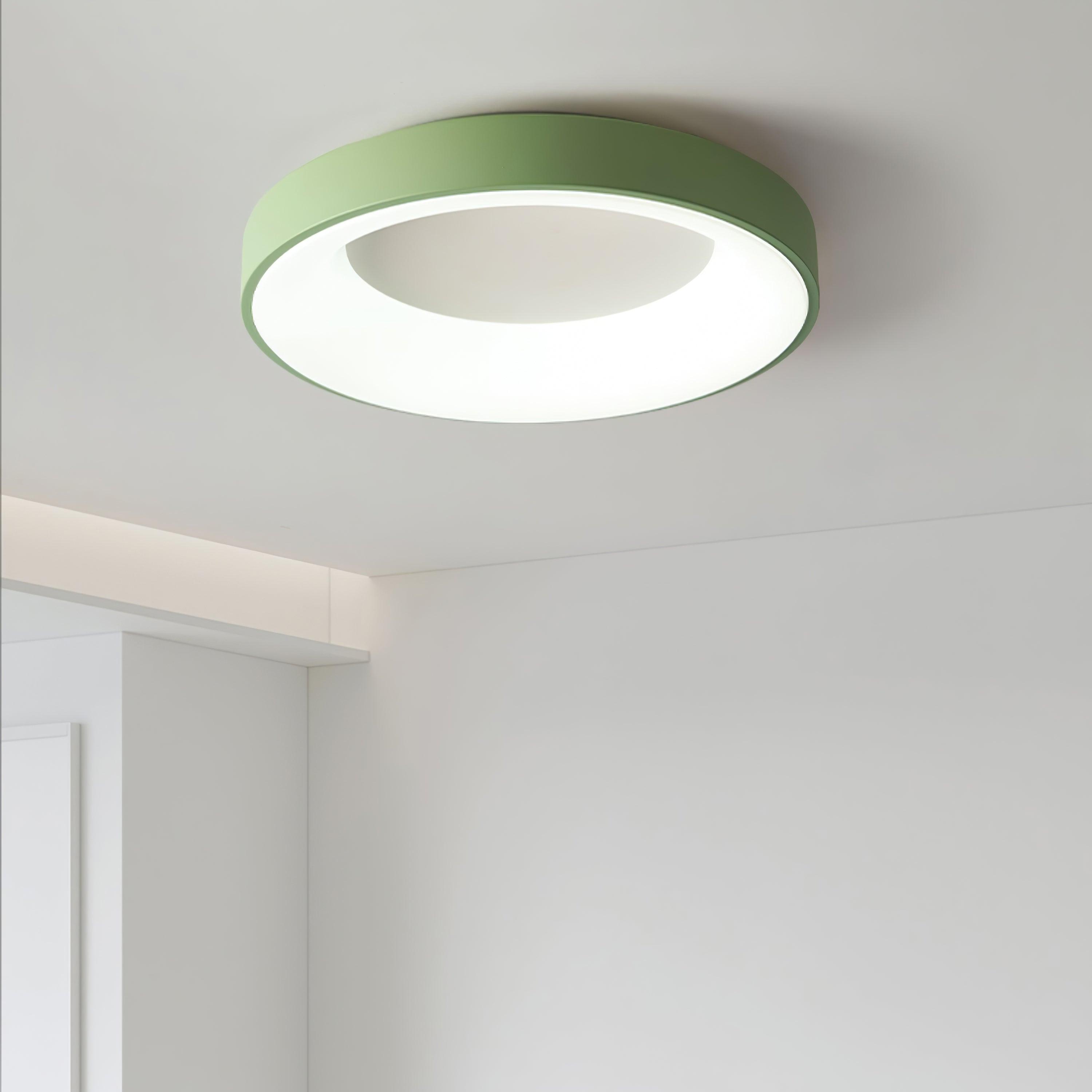 Jareth Ceiling Light Iron Contemporary Green Shade-Neutral Decor