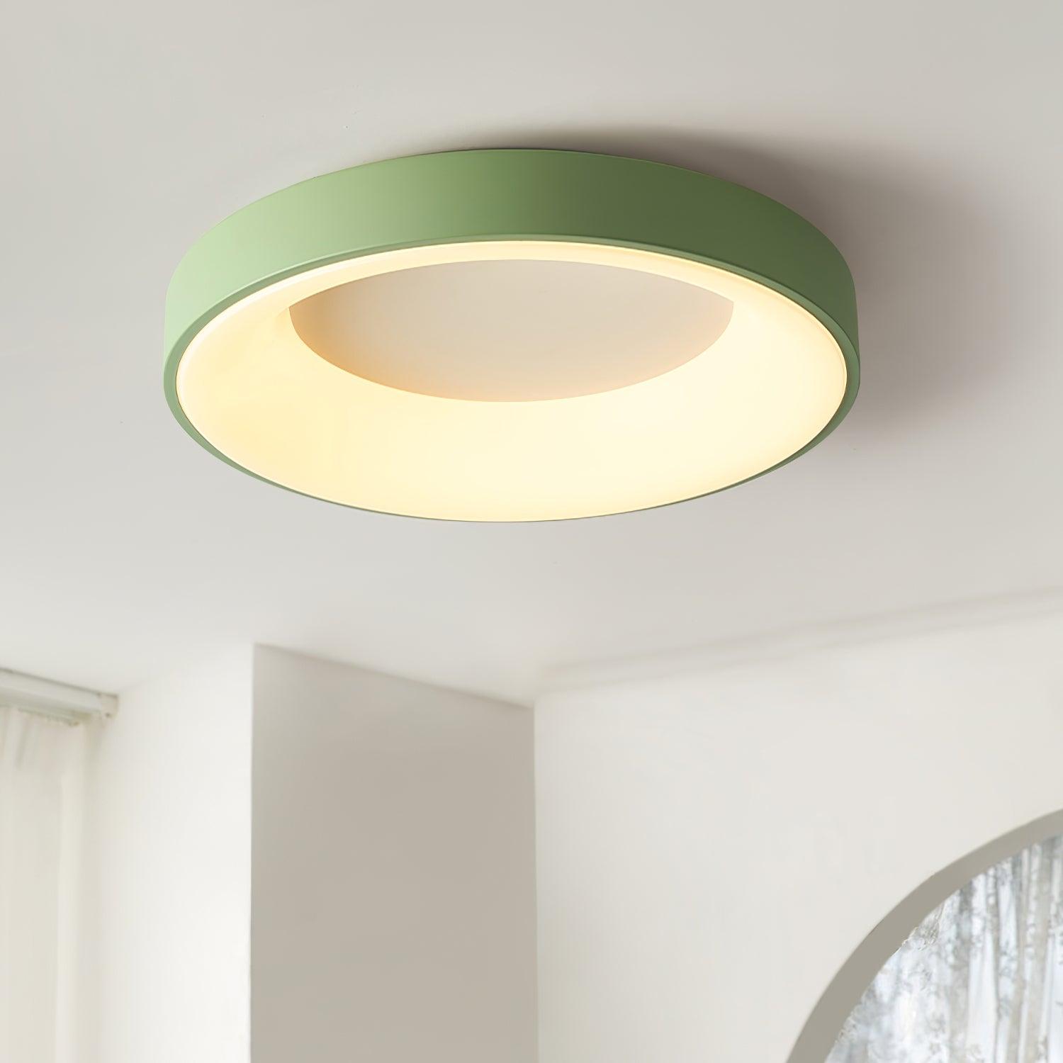 Jareth Ceiling Light Iron Contemporary Green Shade-Neutral Decor