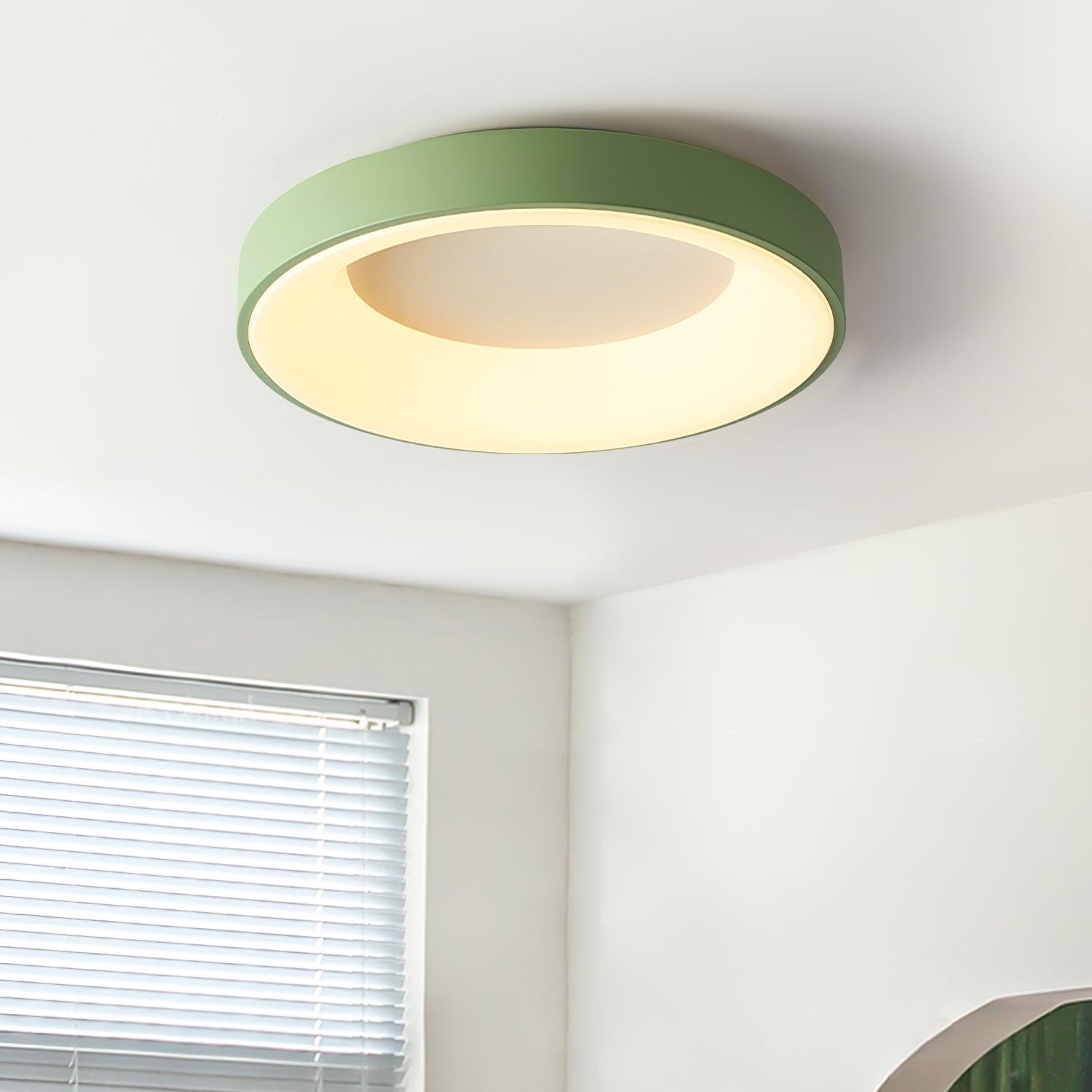 Jareth Ceiling Light Iron Contemporary Green Shade-Neutral Decor