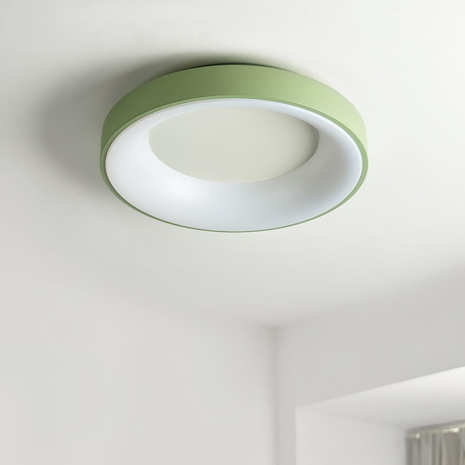 Jareth Ceiling Light Iron Contemporary Green Shade-Neutral Decor