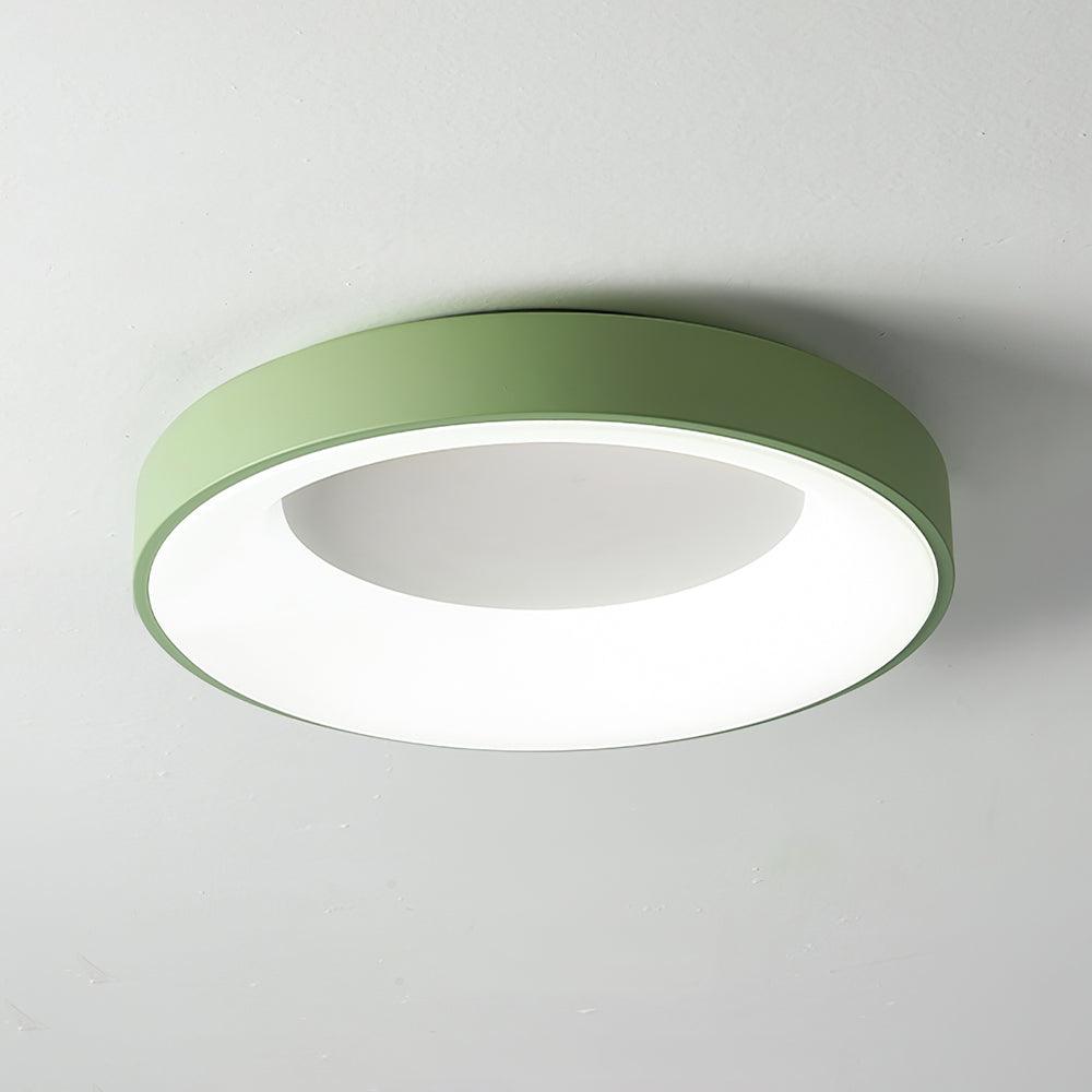 Jareth Ceiling Light Iron Contemporary Green Shade-Neutral Decor