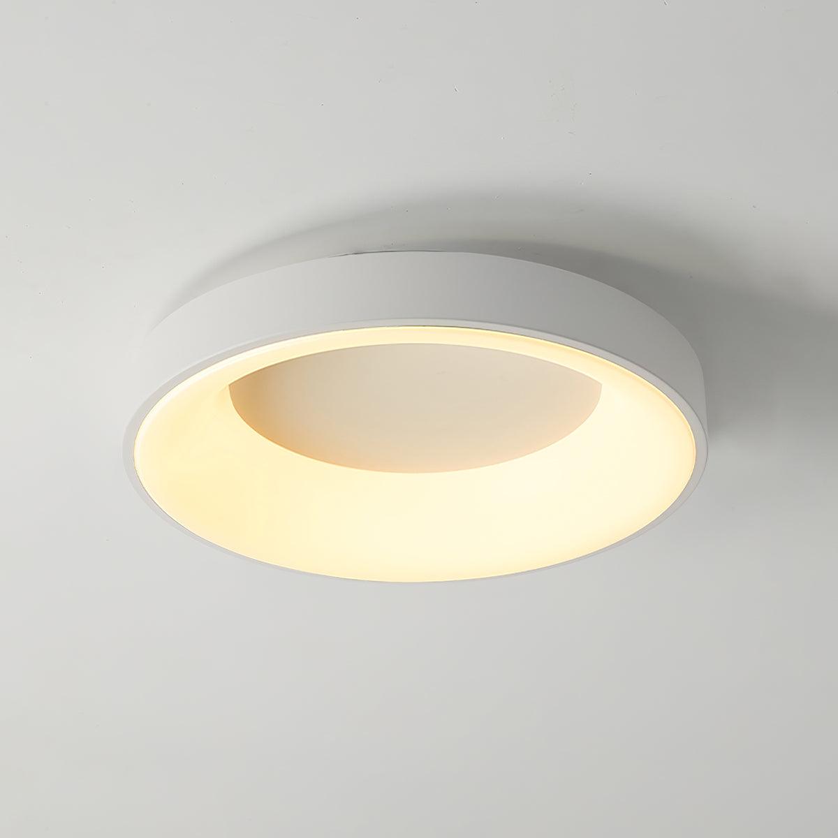 Jareth Ceiling Light Iron Contemporary Green Shade-Neutral Decor