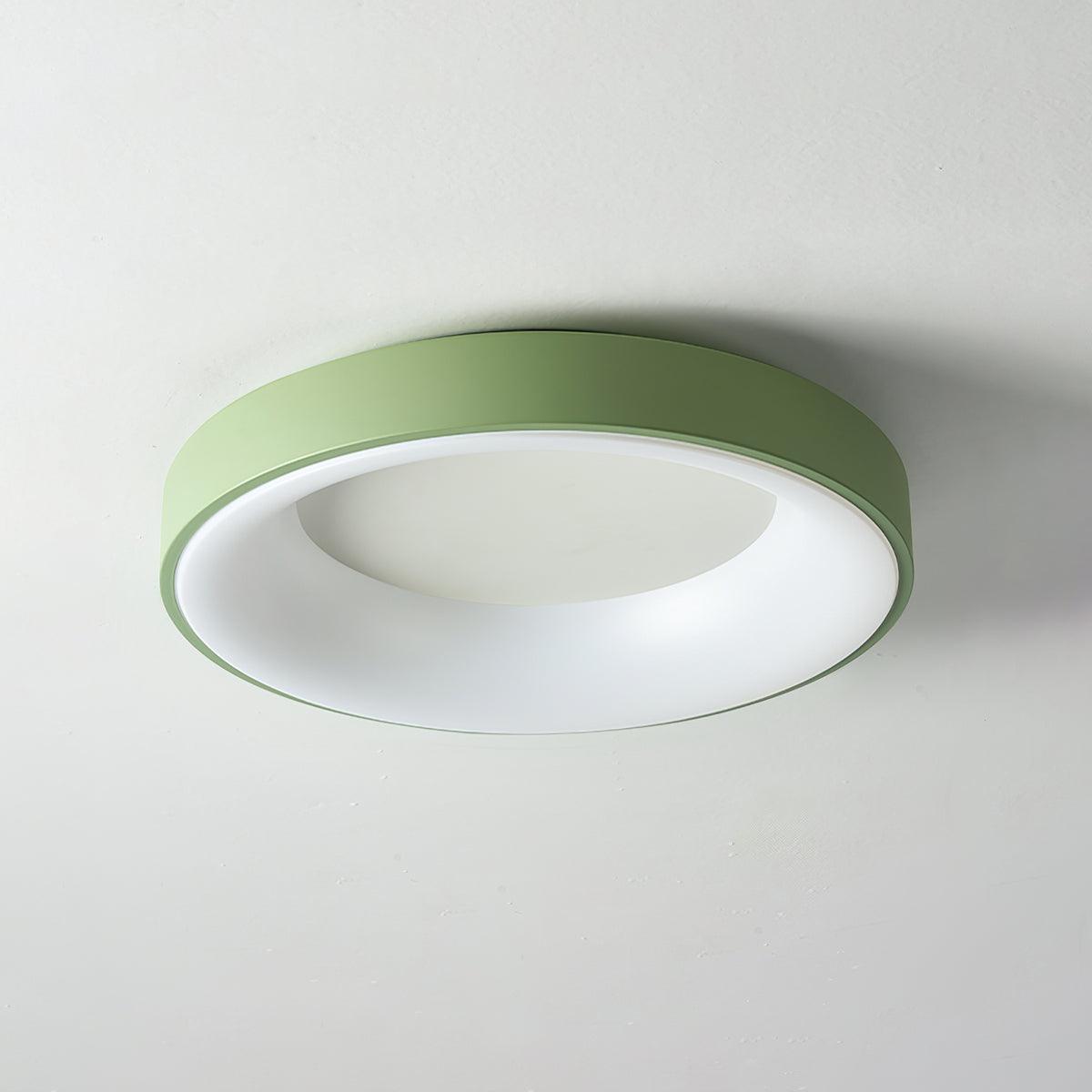 Jareth Ceiling Light Iron Contemporary Green Shade-Neutral Decor