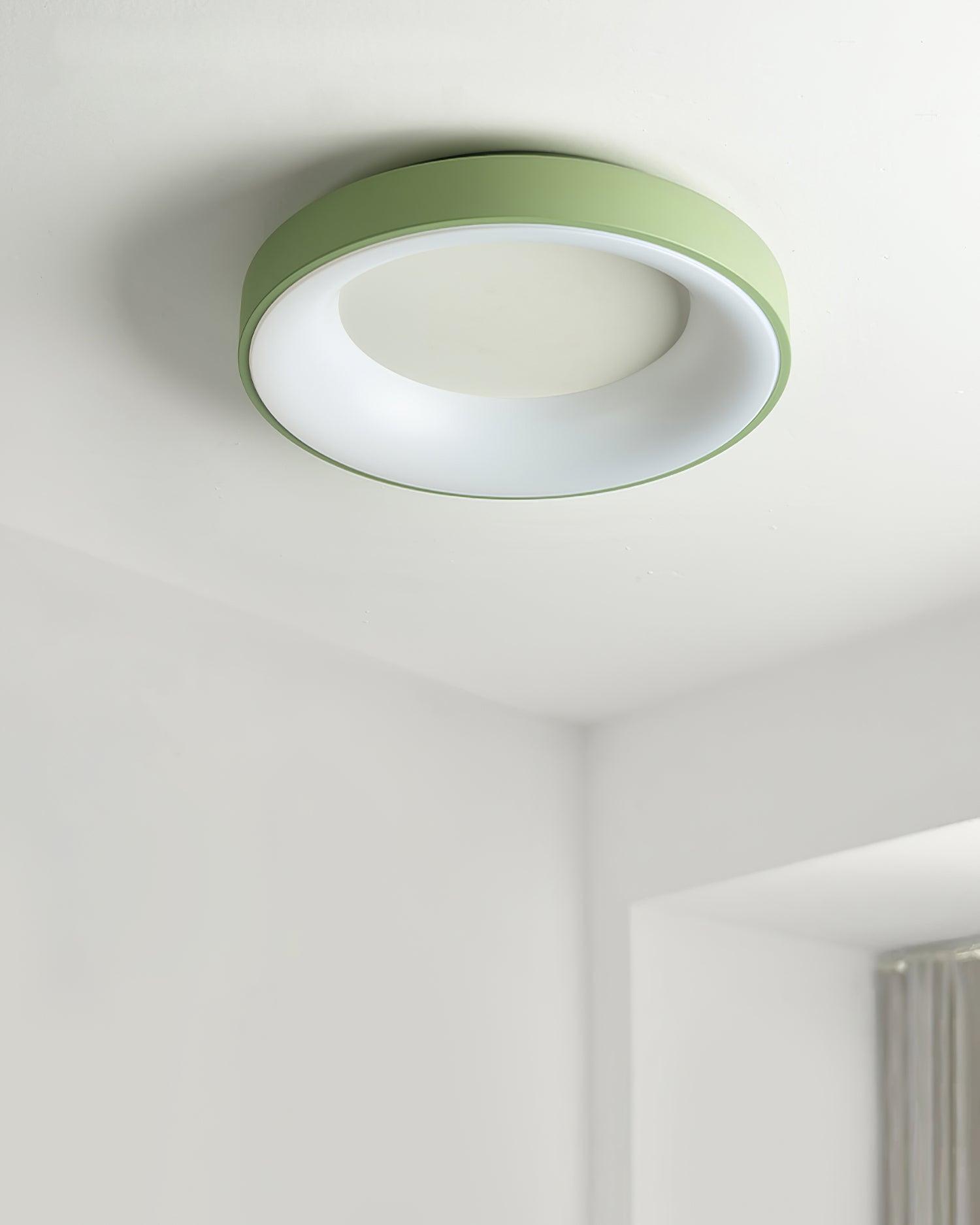 Jareth Ceiling Light Iron Contemporary Green Shade-Neutral Decor