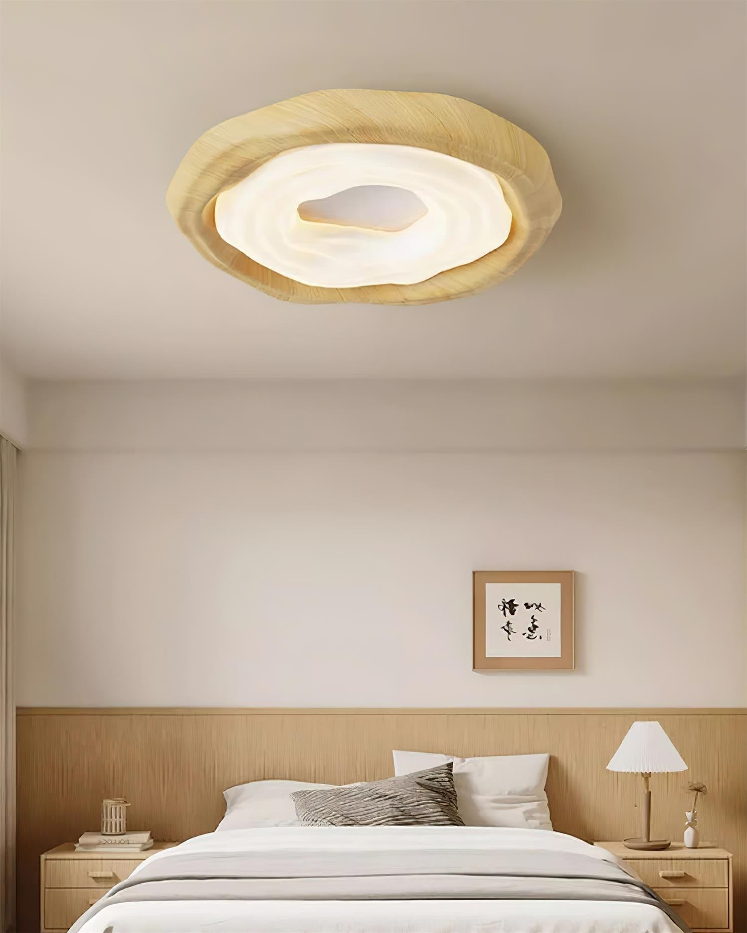 Solenne  Ceiling Light