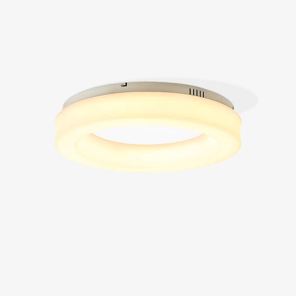 Erraeiel Modern Minimalist Art Ceiling Light-Neutral Decor