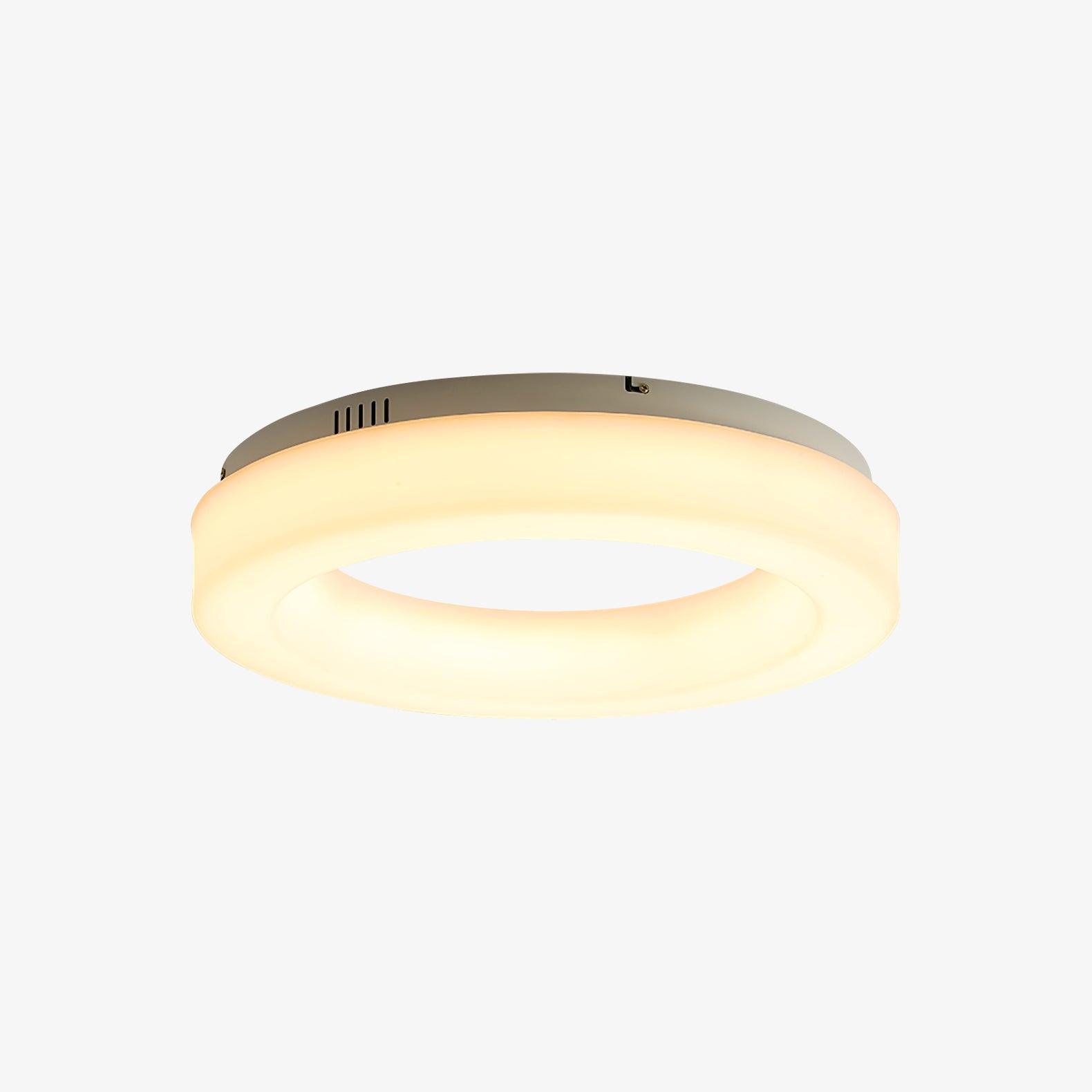 Erraeiel Modern Minimalist Art Ceiling Light-Neutral Decor