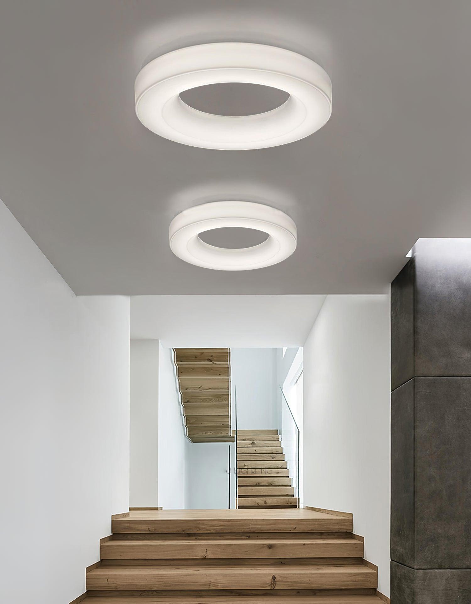 Erraeiel Modern Minimalist Art Ceiling Light-Neutral Decor