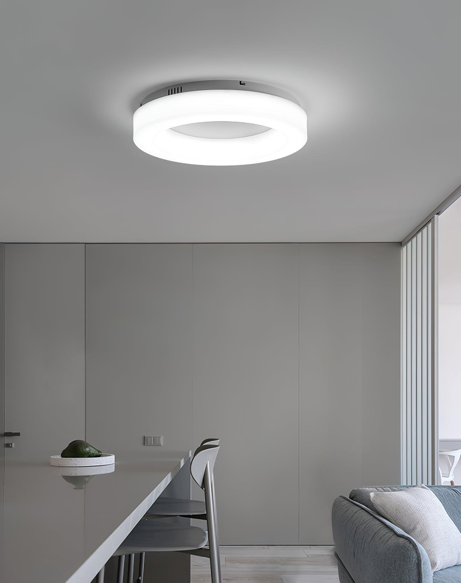Erraeiel Modern Minimalist Art Ceiling Light-Neutral Decor