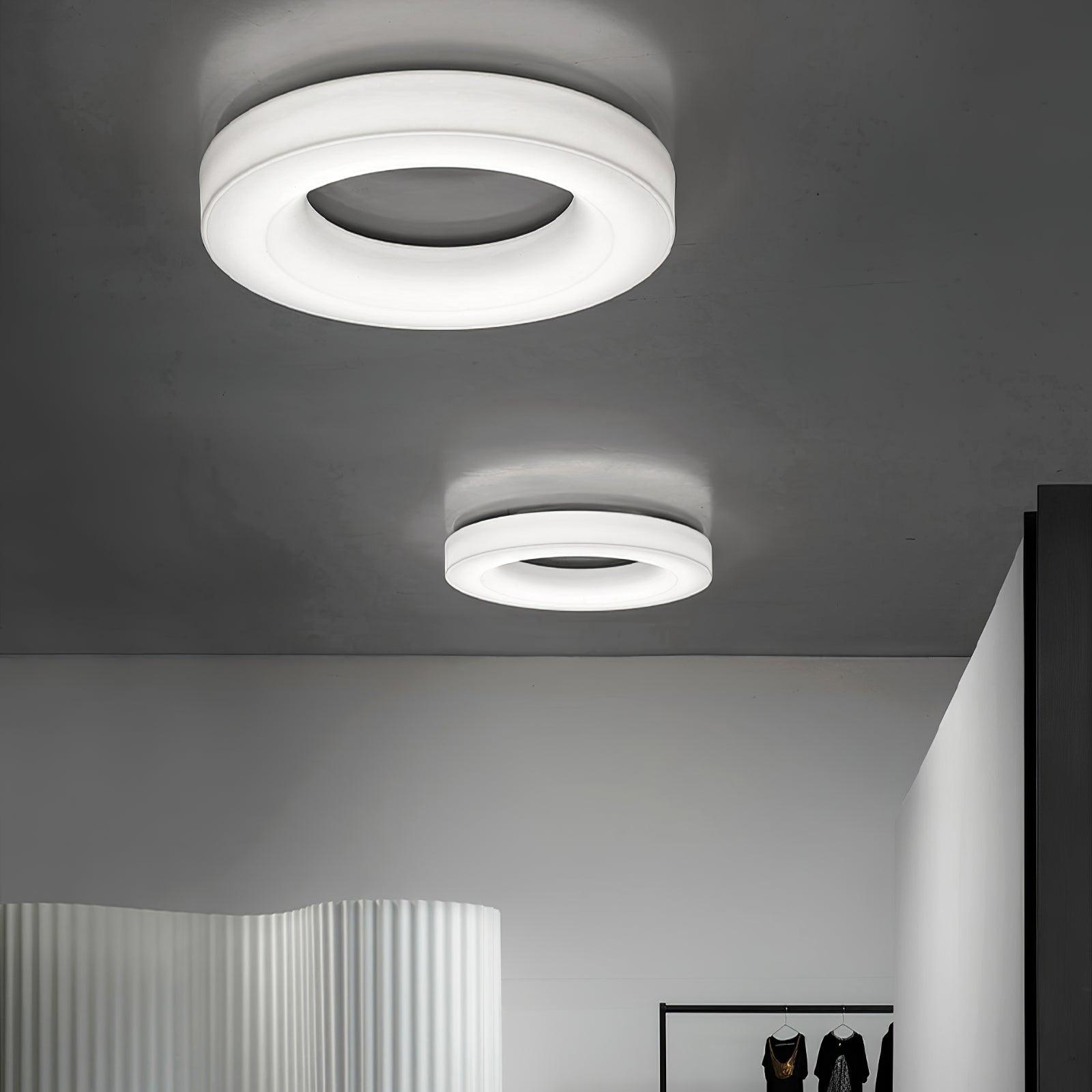 Erraeiel Modern Minimalist Art Ceiling Light-Neutral Decor