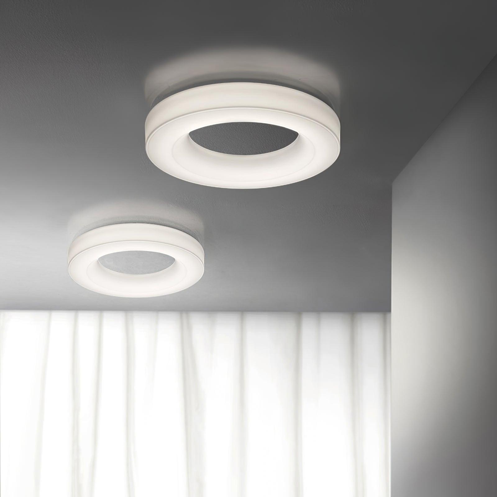Erraeiel Modern Minimalist Art Ceiling Light-Neutral Decor