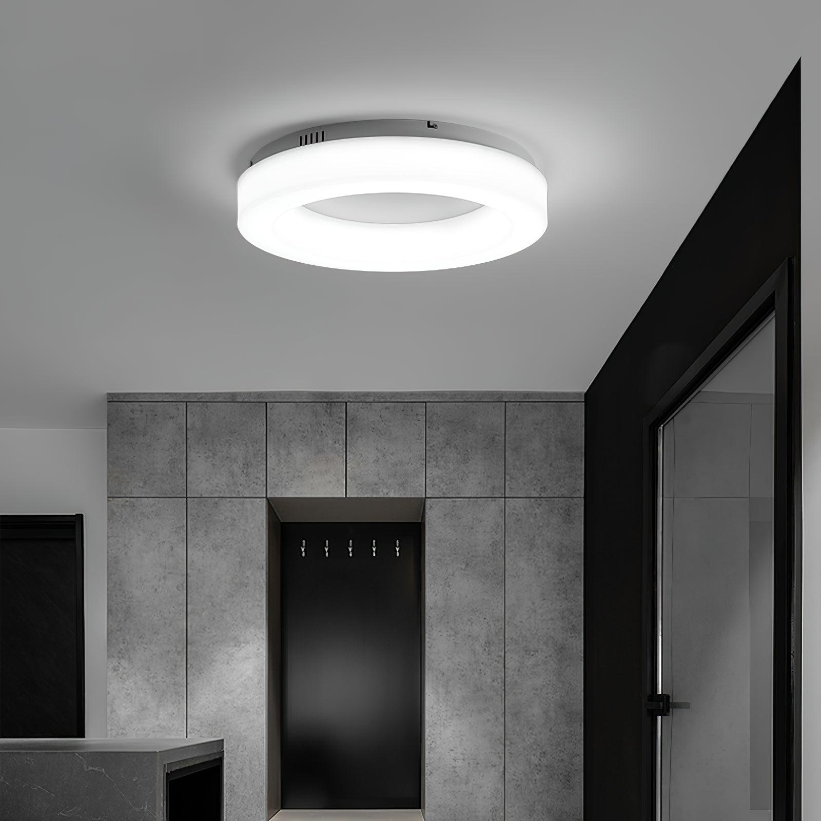 Erraeiel Modern Minimalist Art Ceiling Light-Neutral Decor