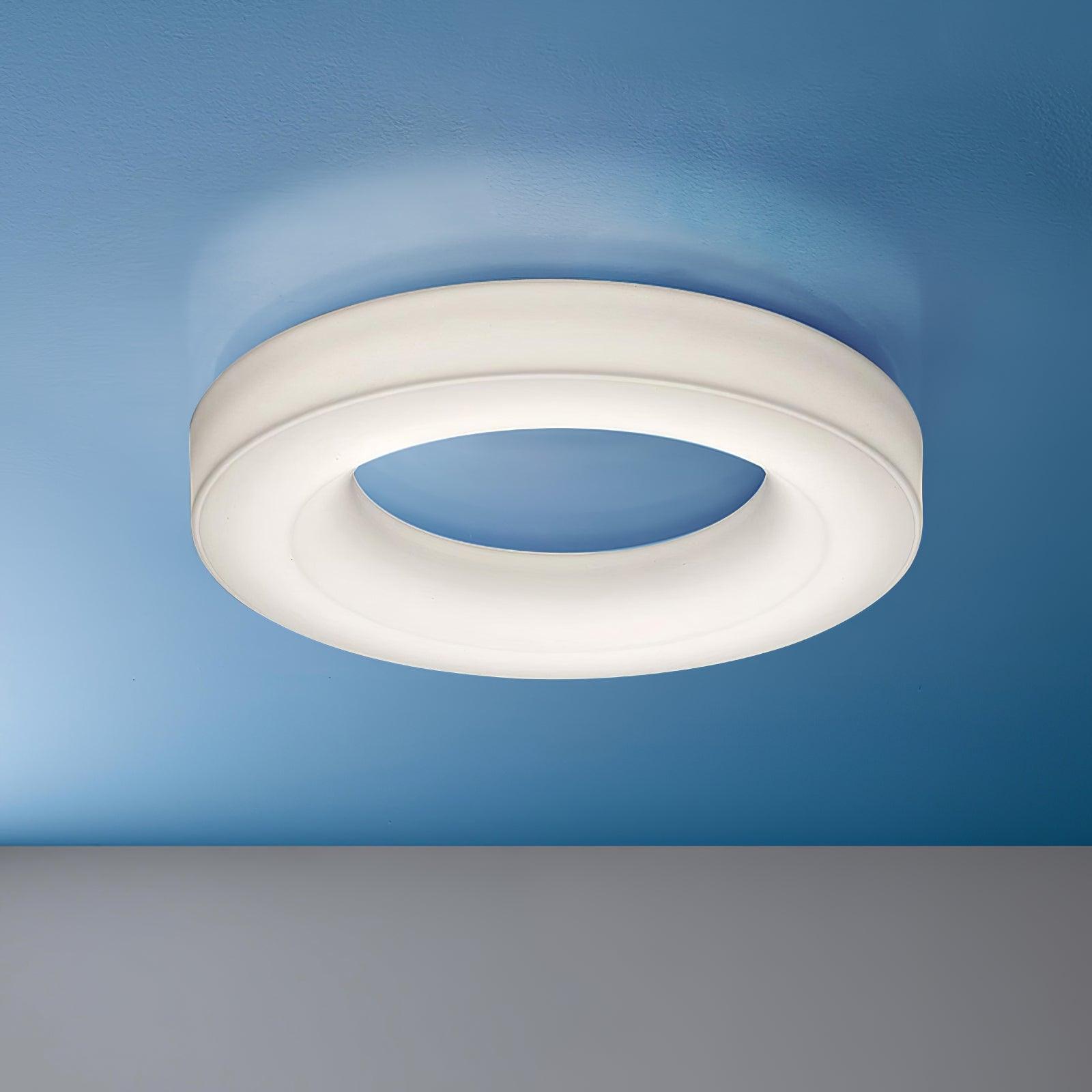 Erraeiel Modern Minimalist Art Ceiling Light-Neutral Decor