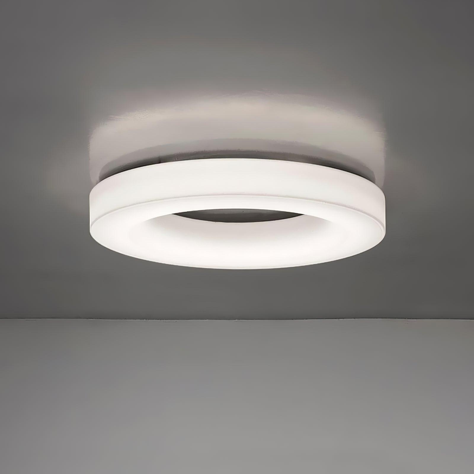 Erraeiel Modern Minimalist Art Ceiling Light-Neutral Decor