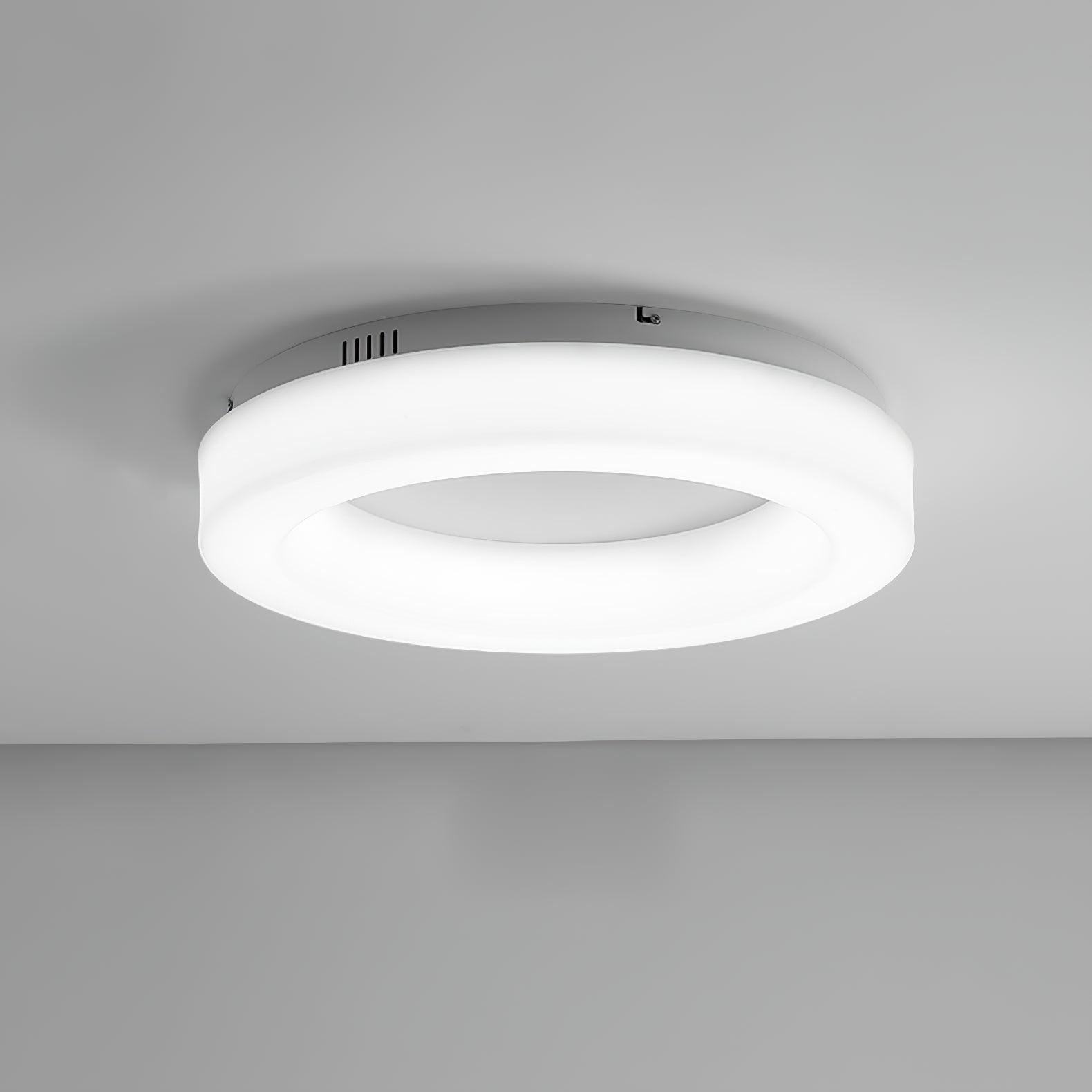 Erraeiel Modern Minimalist Art Ceiling Light-Neutral Decor