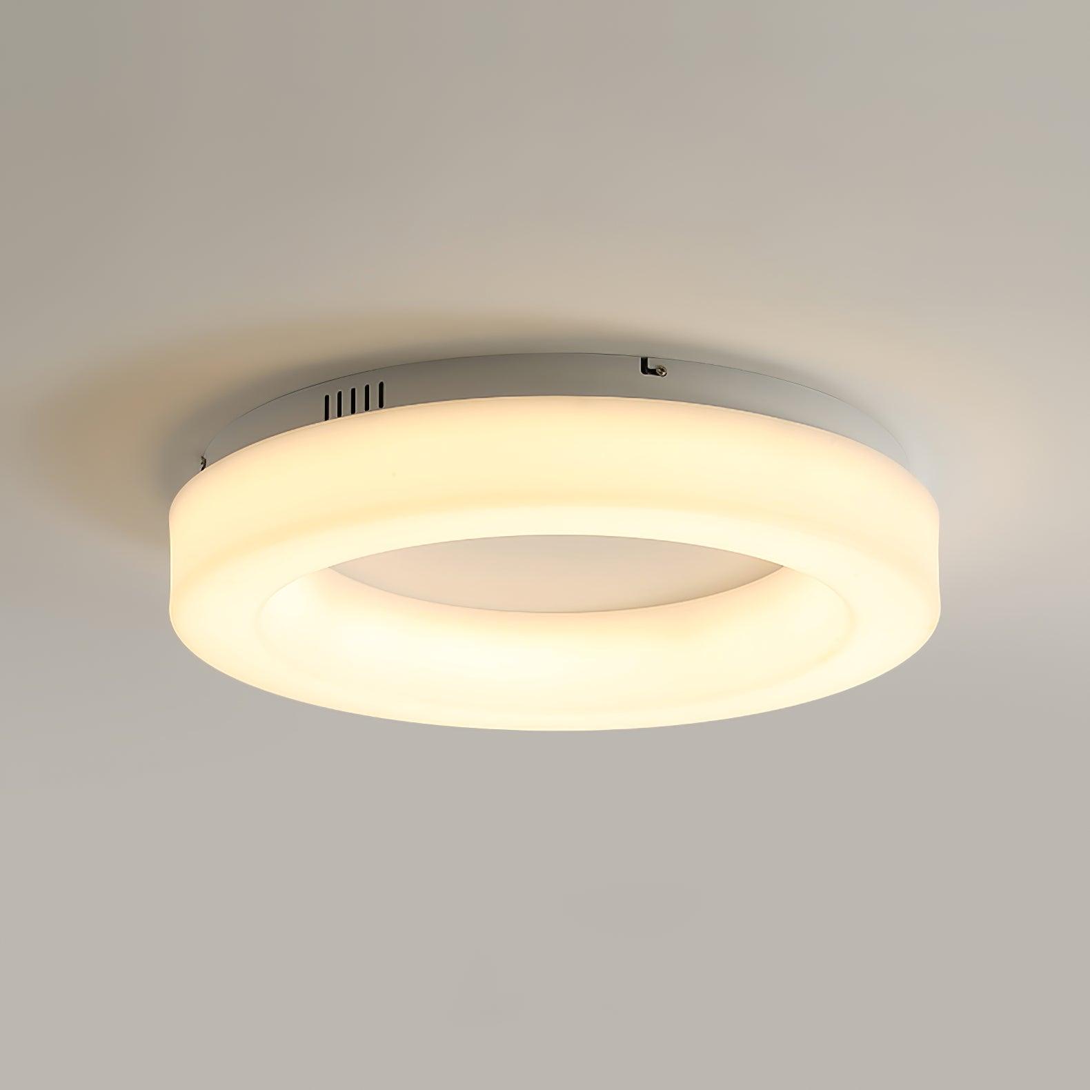 Erraeiel Modern Minimalist Art Ceiling Light-Neutral Decor