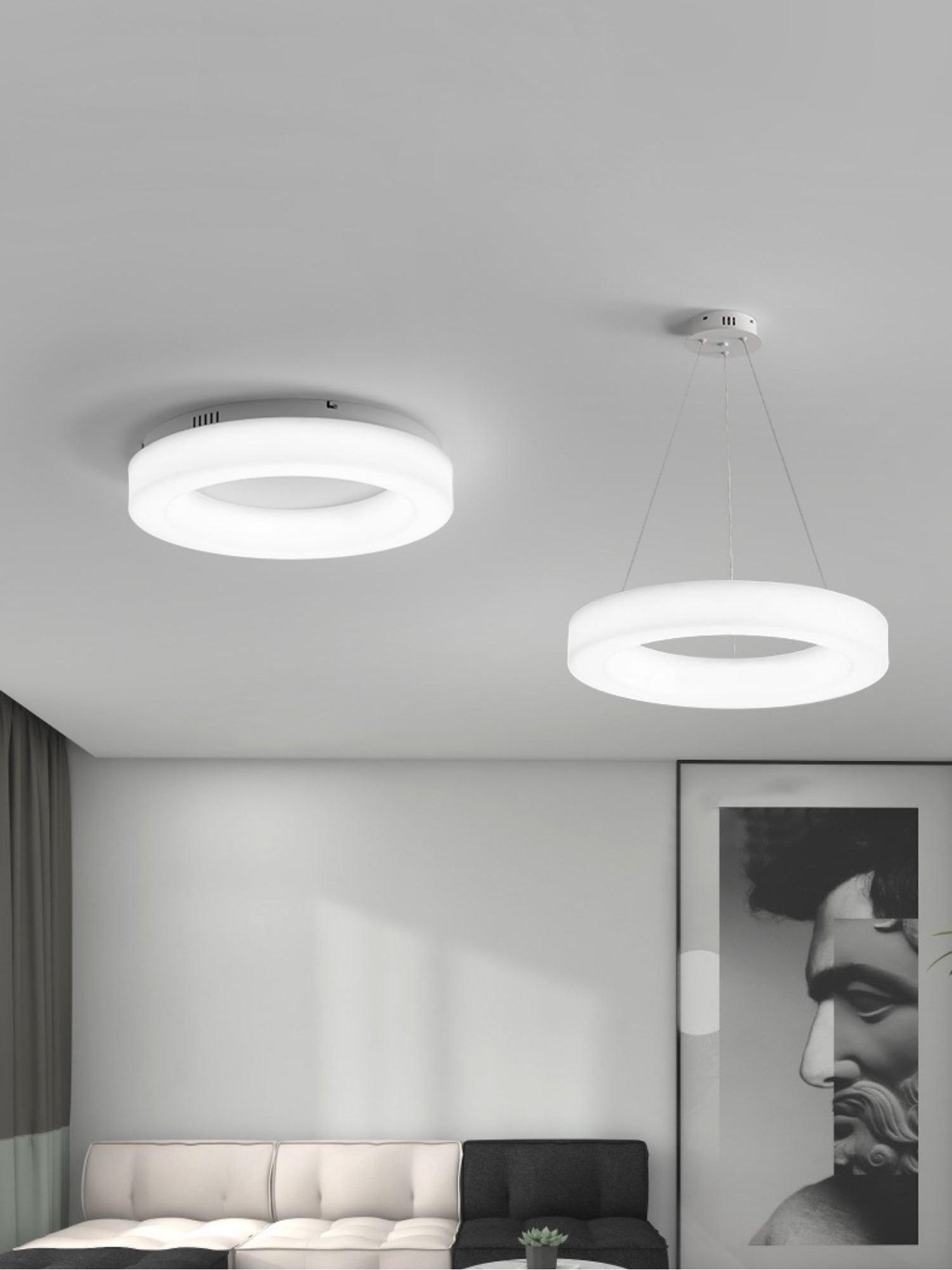 Erraeiel Modern Minimalist Art Ceiling Light-Neutral Decor