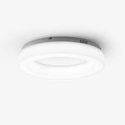 Erraeiel Modern Minimalist Art Ceiling Light-Neutral Decor