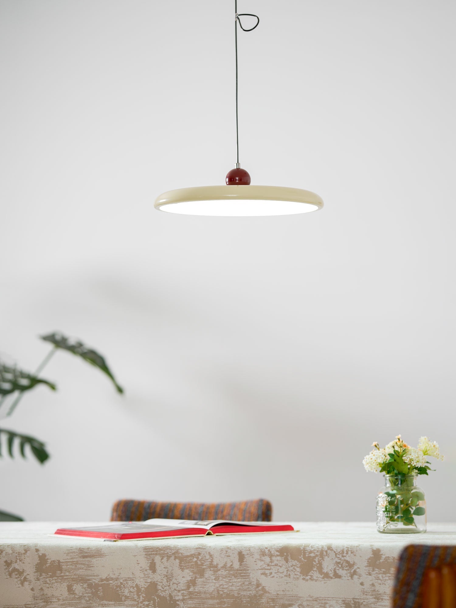 Exvane Acrylic Modern Pendant Lamp-Neutral Decor